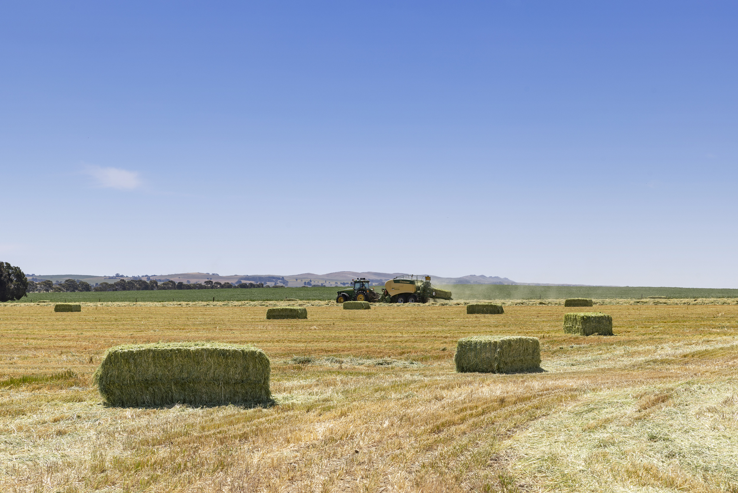 Bales harvested on Farm
