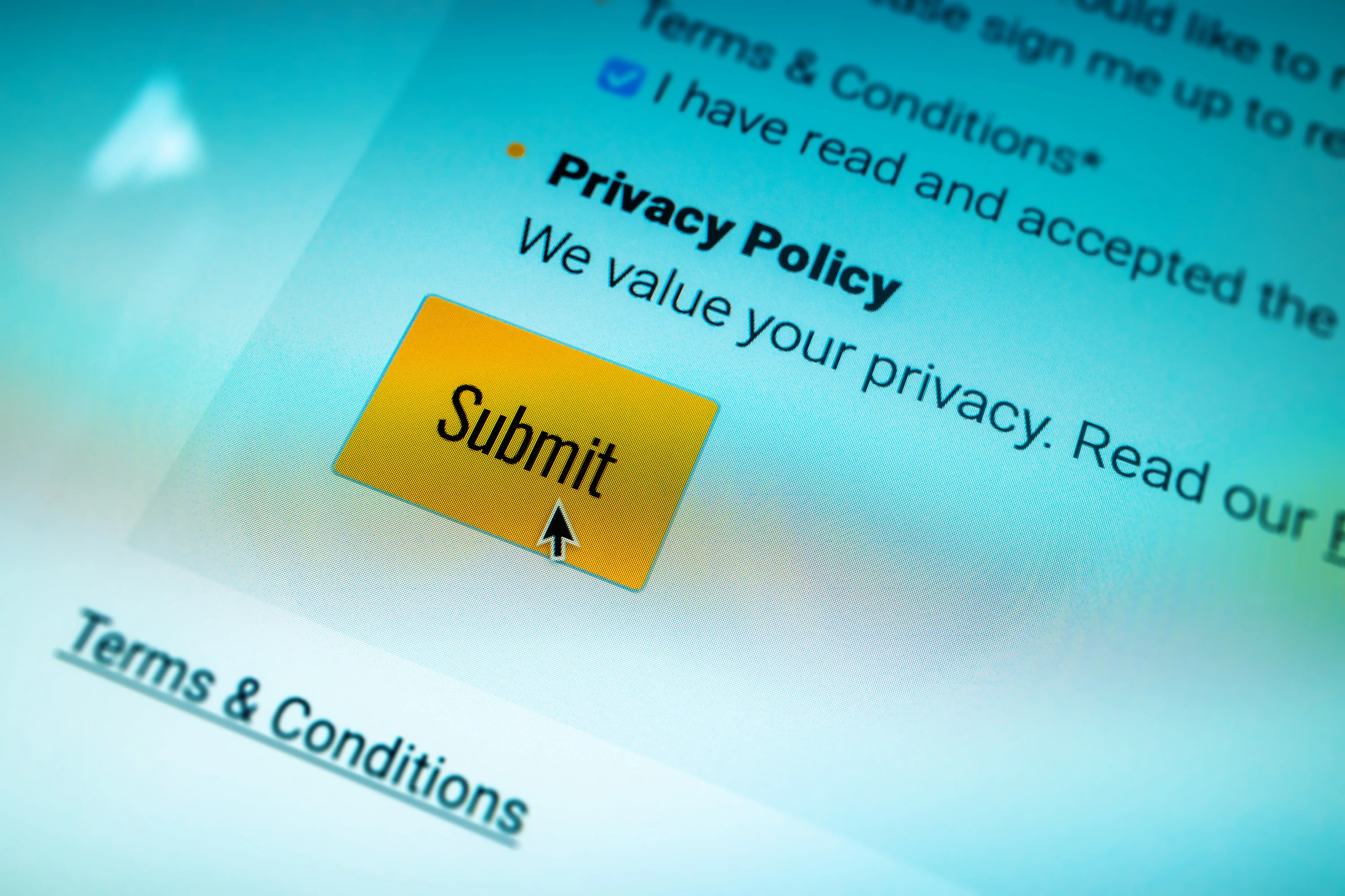 A close-up of privacy policy submit button