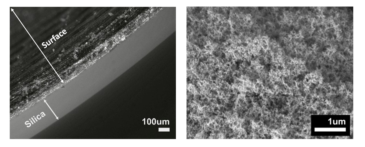 Microscopic images of silica deposits from biomethane