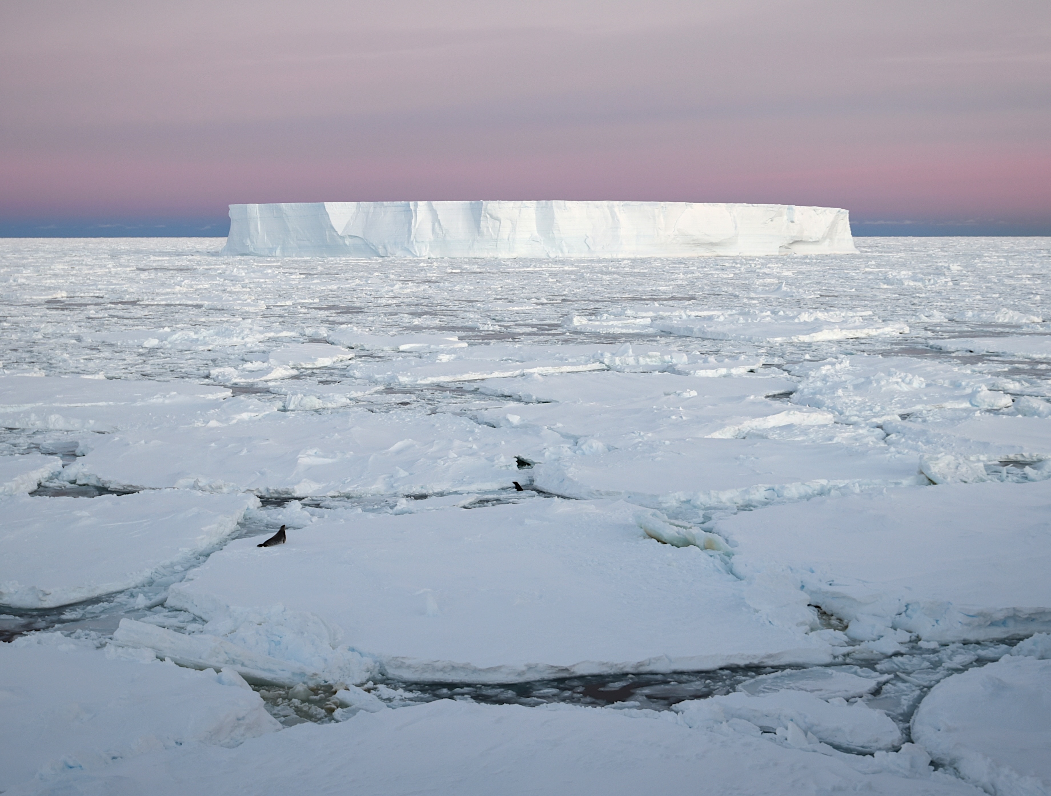 Iceberg and broken ice before pink sky