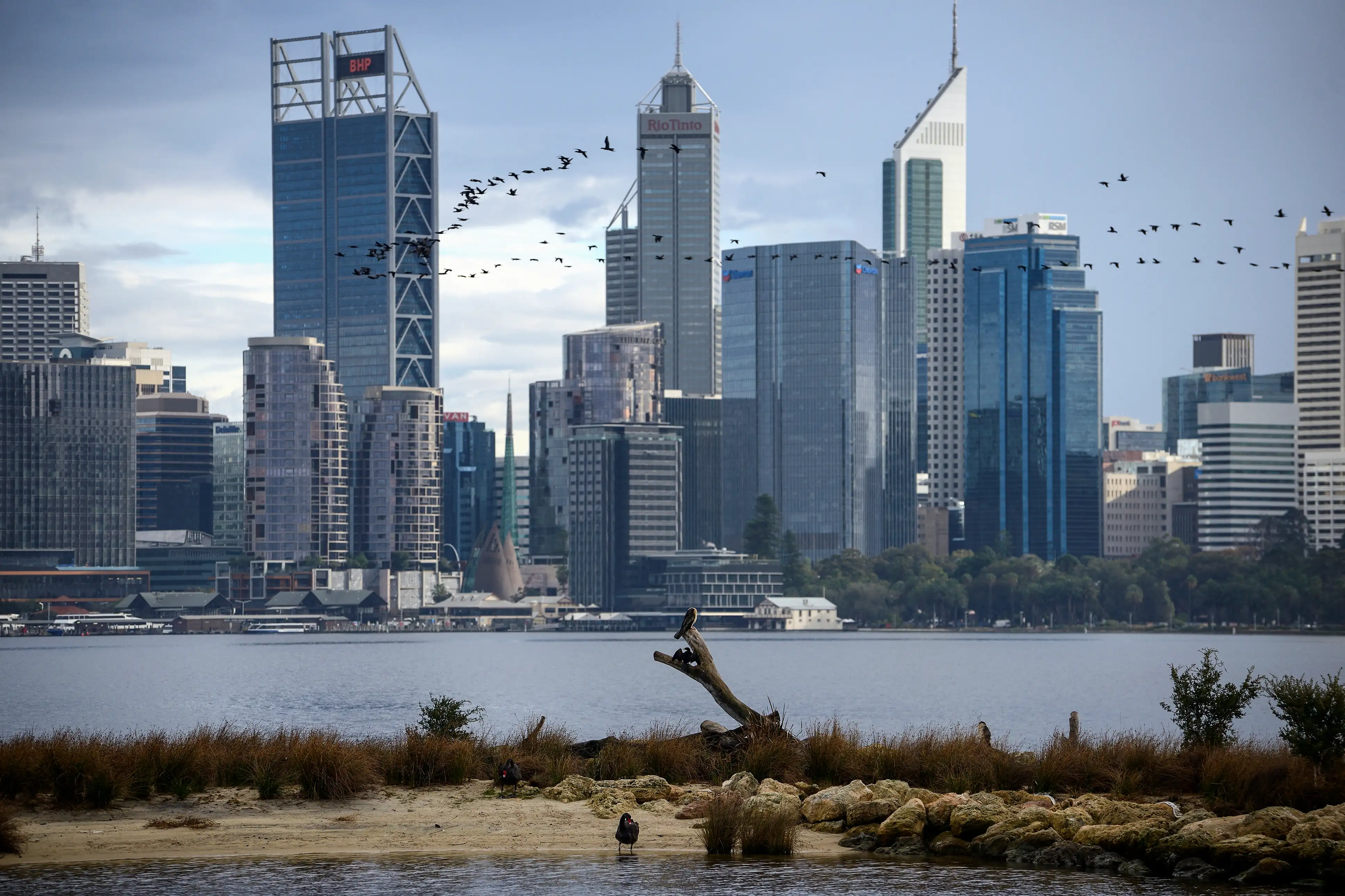 Birds flying in front of the central business district (CBD) of Western Australia's capital city of Perth