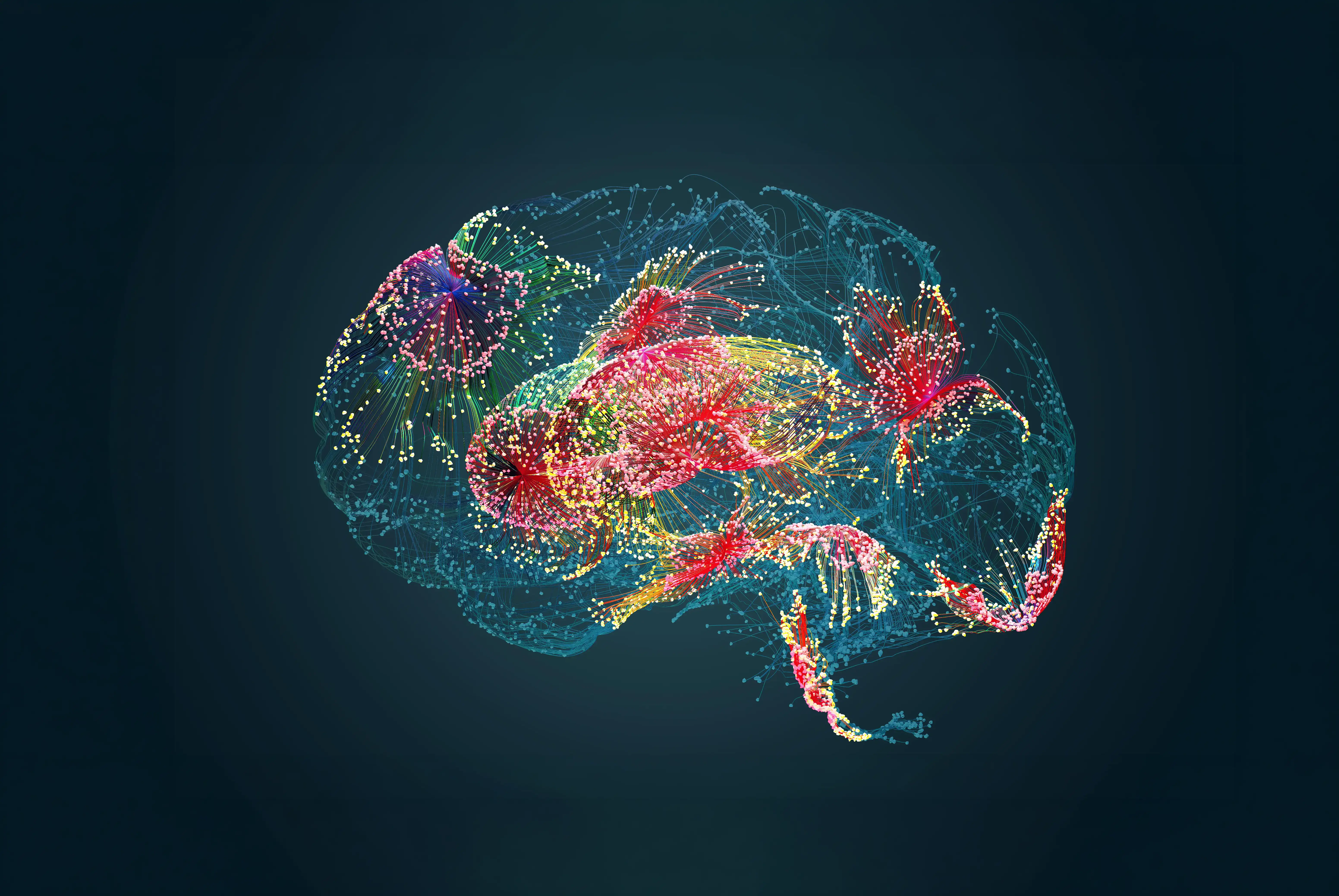 A graphic of a colourful brain