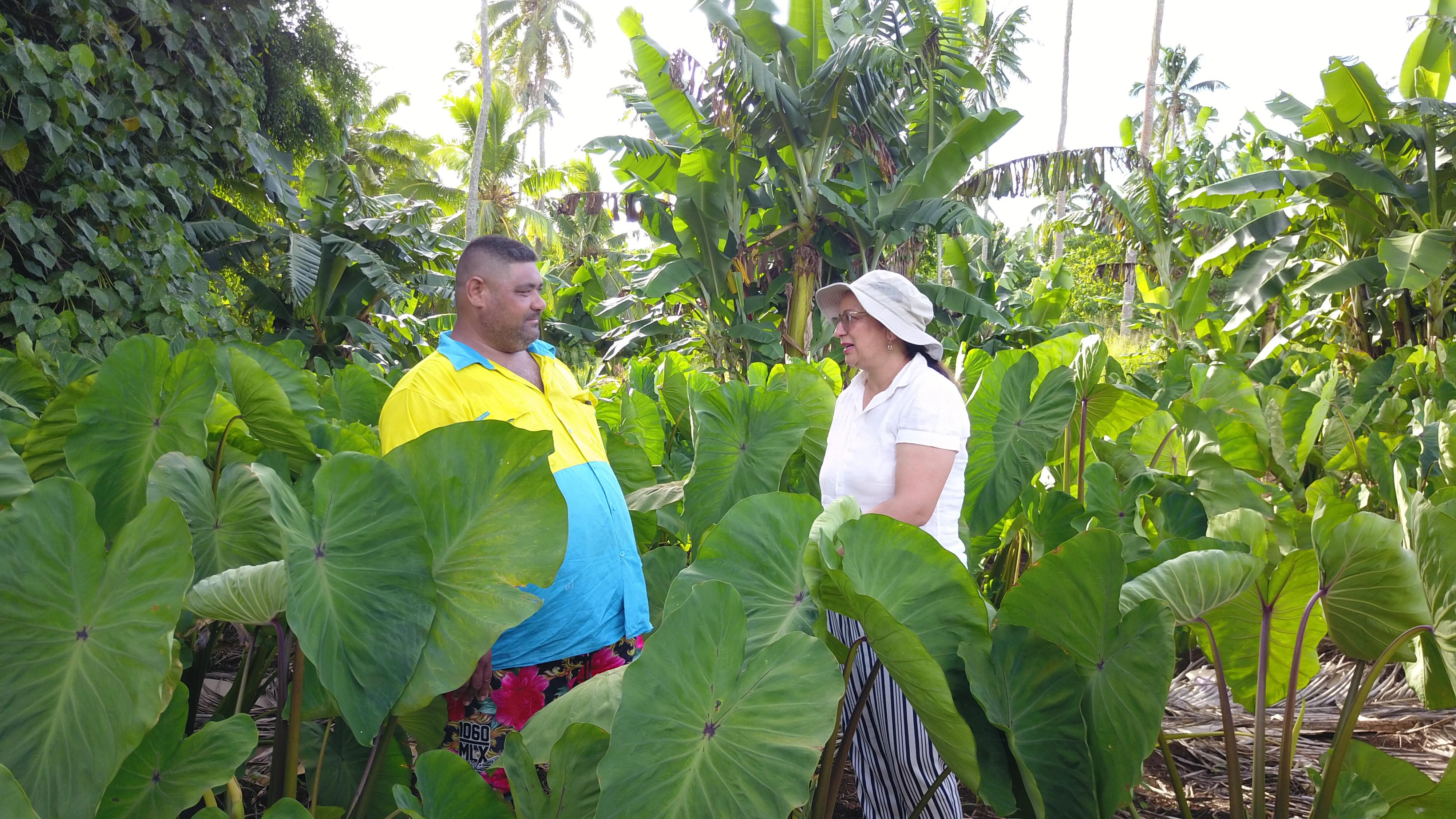Farmer in the Pacific discusses crop research with scientist