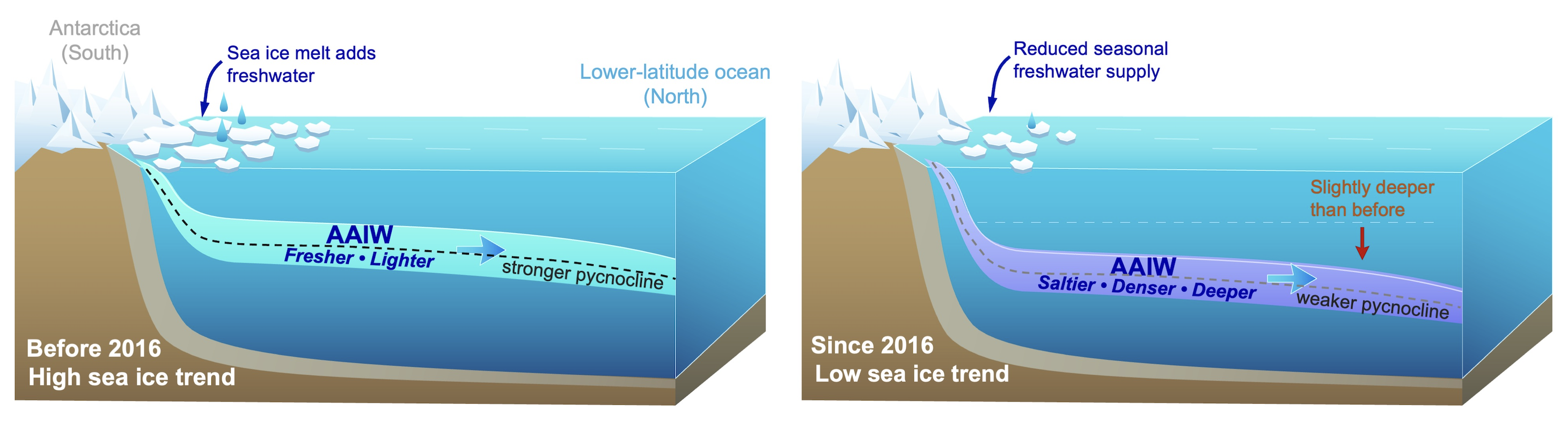 Diagram of ocean layers