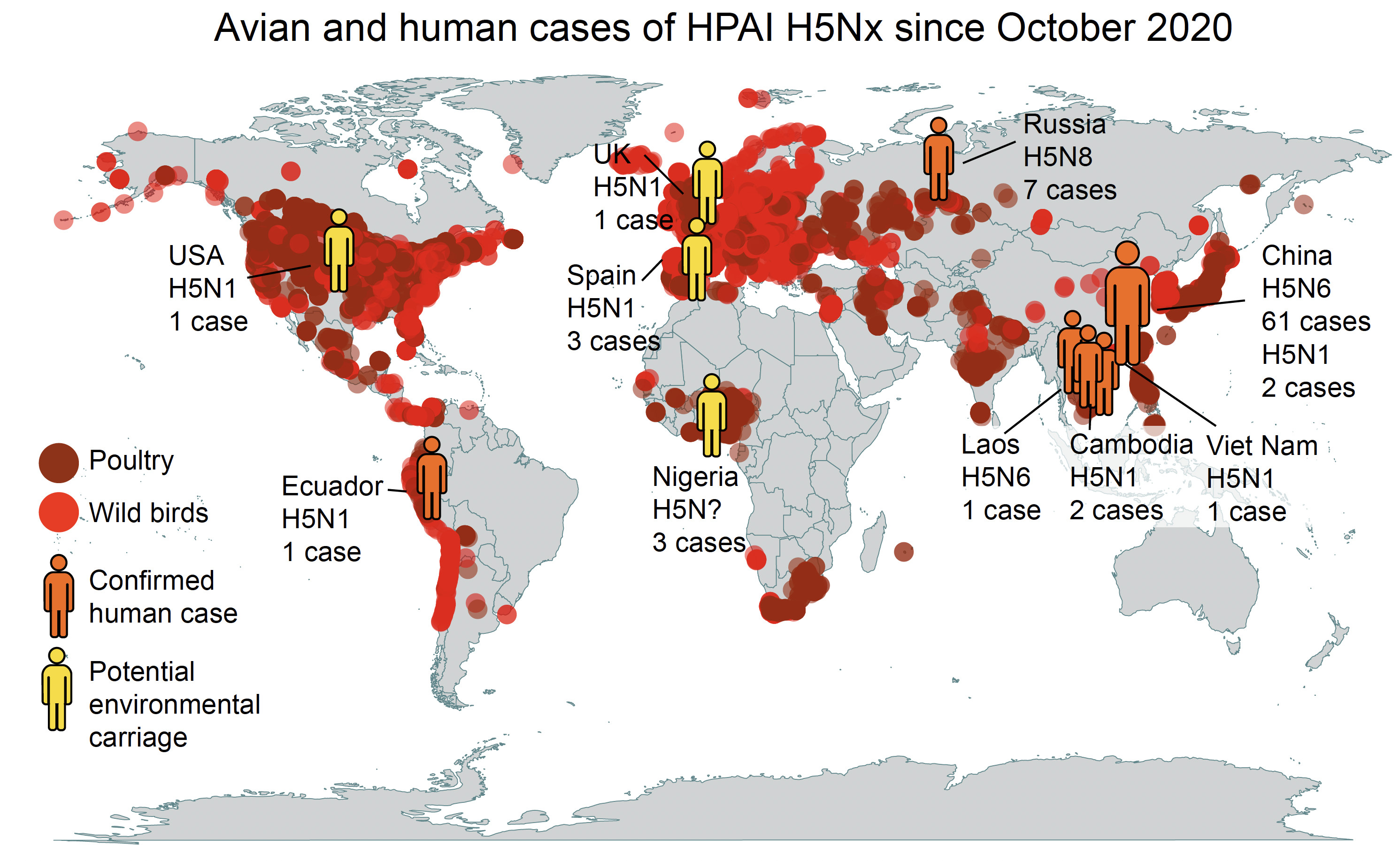 Bird Flu Human Cases And The Risk To Australia Pursuit By The 