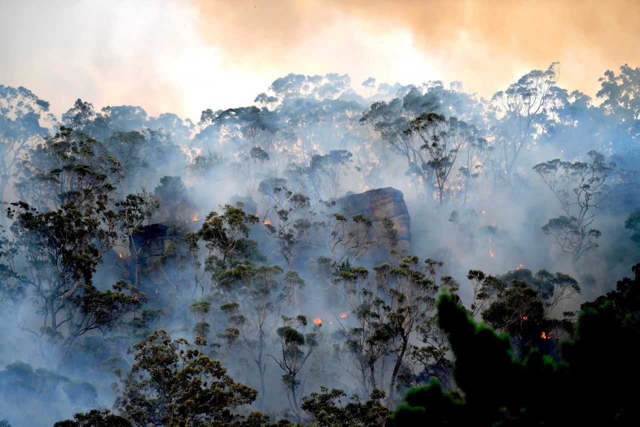 The burning of Australia’s nature thumbnail image