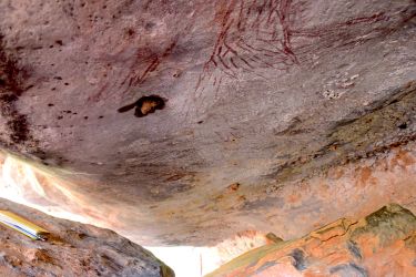 Australia’s oldest known Aboriginal rock paintings thumbnail image