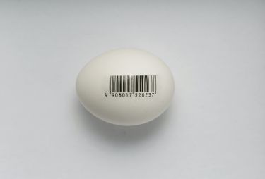 Thinking about using donated eggs to start a family? thumbnail image