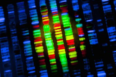 Big data puts genomic handbrake on cancer thumbnail image