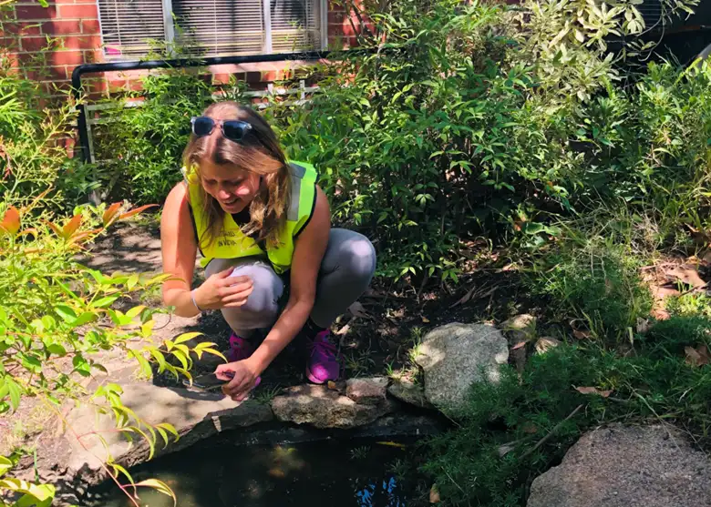 Véronique Paris identifying mosquito breeding sites in Melbourne’s suburbs