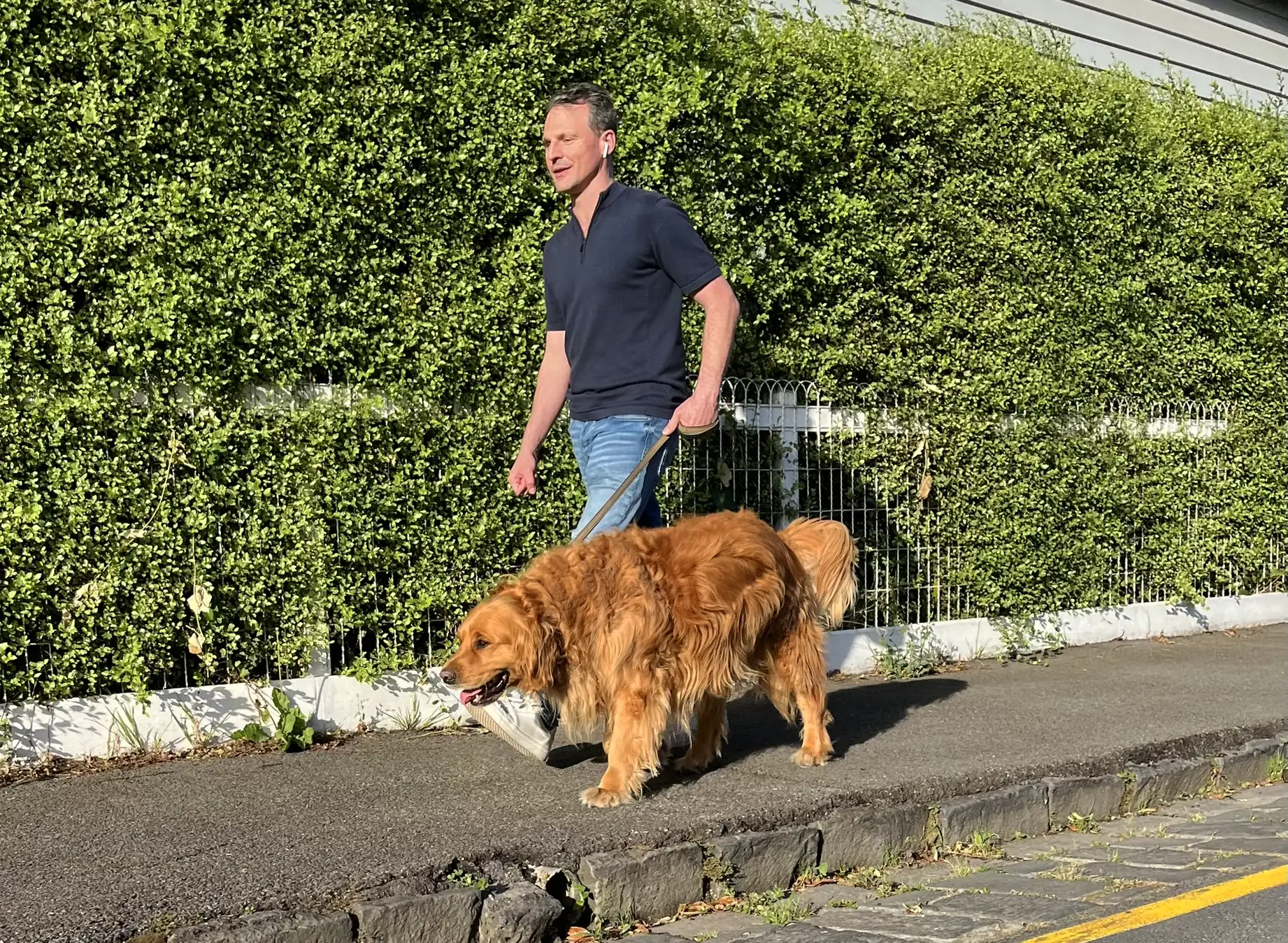 Professor Toby Murray walking his golden retriever