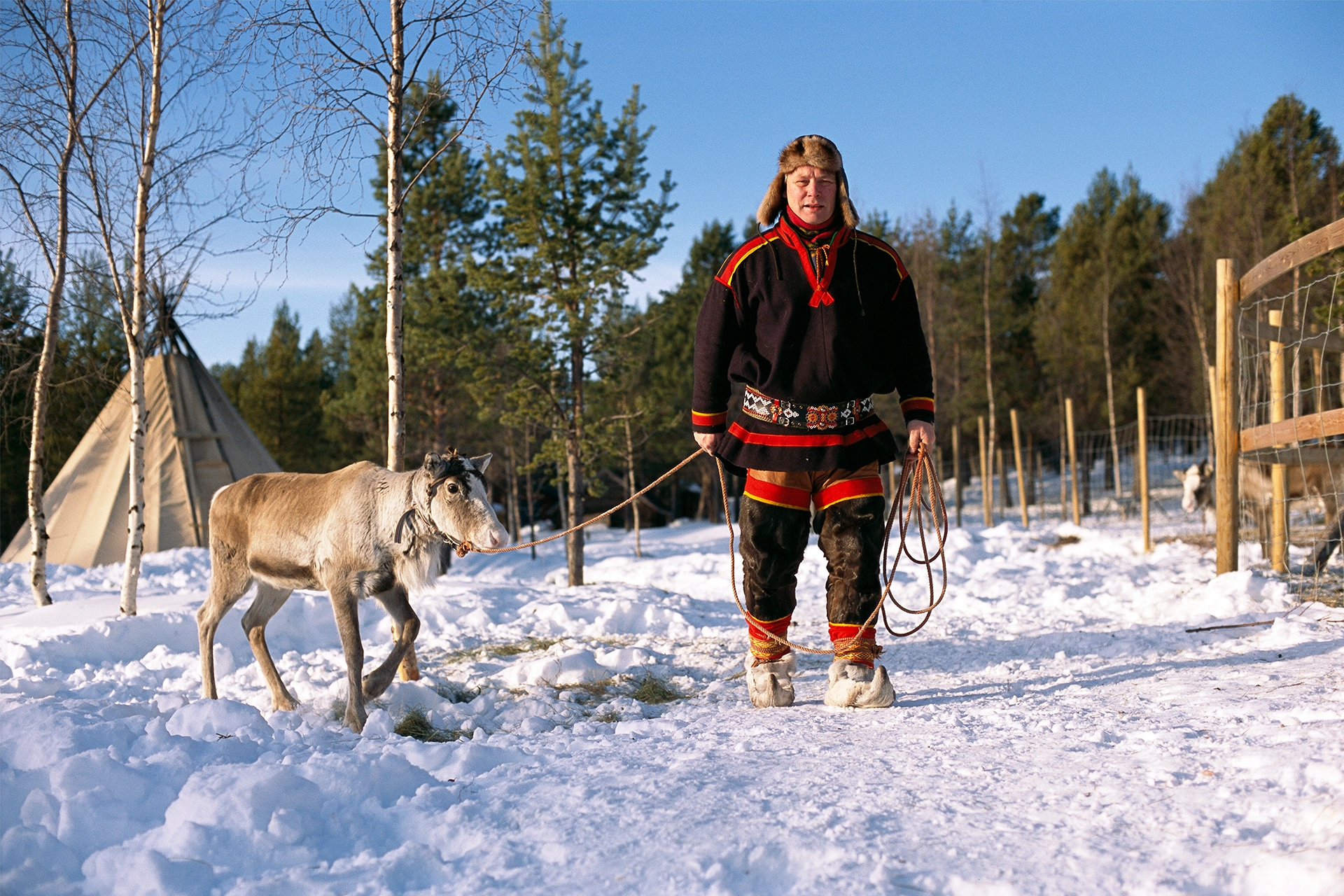 Sami man wearing traditional dress in snowy landscape with reindeer on a leash