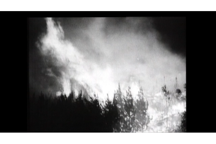 A GIF of footage of the 1939 bushfires in Victoria.
