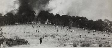 Our savage history of fighting bushfires thumbnail image