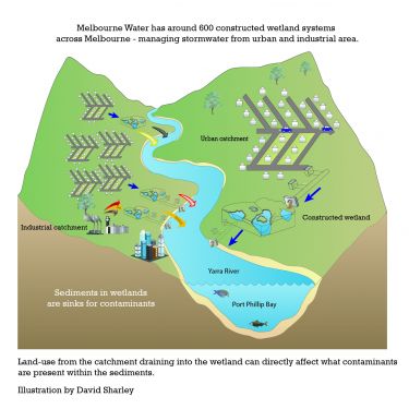 The common insecticide poisoning our rivers and wetlands | Pursuit by ...