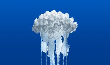 Jellyfish: Where art meets science thumbnail image