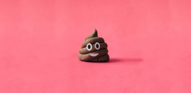 Five things about...Poo thumbnail image
