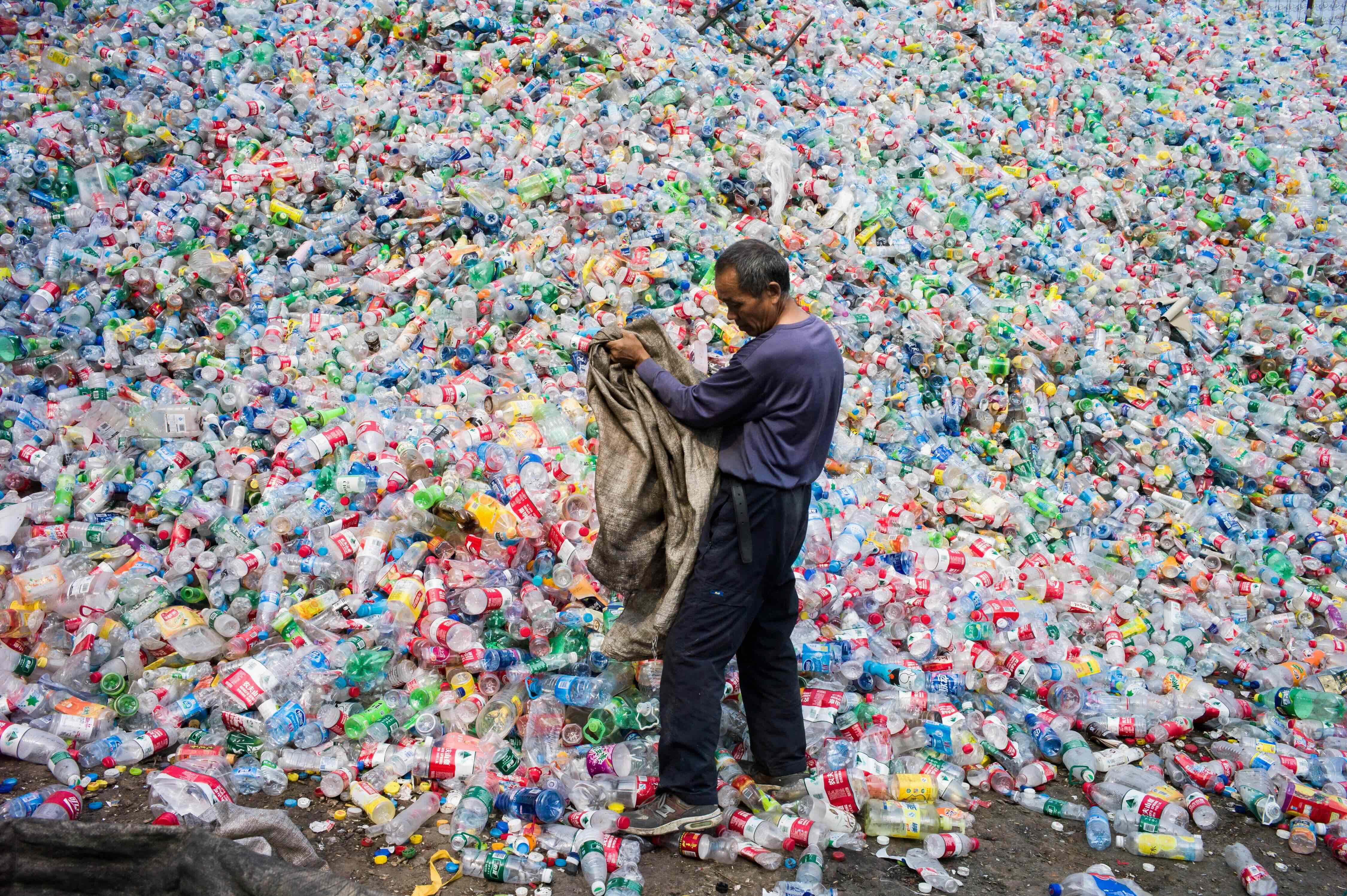 A labourer sorting out plastic bottles for recycling