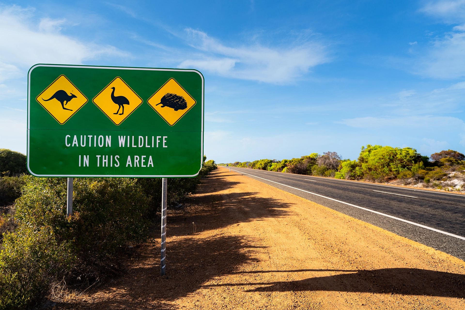 Road sign in rural area showing kangaroo, emu and echidna. Sign says: Caution wildlife in this area