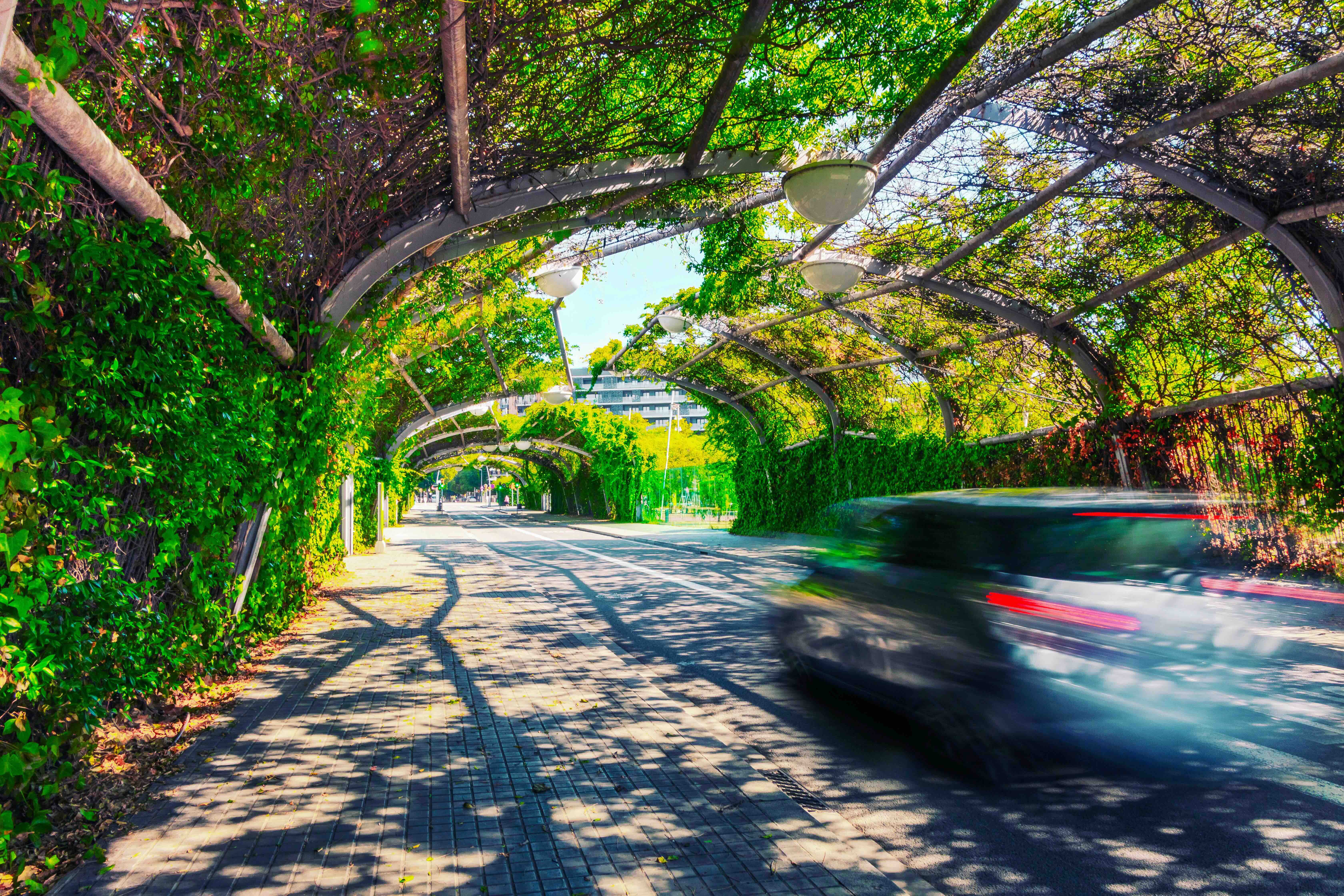 Barcelona_Road Covered in Plants