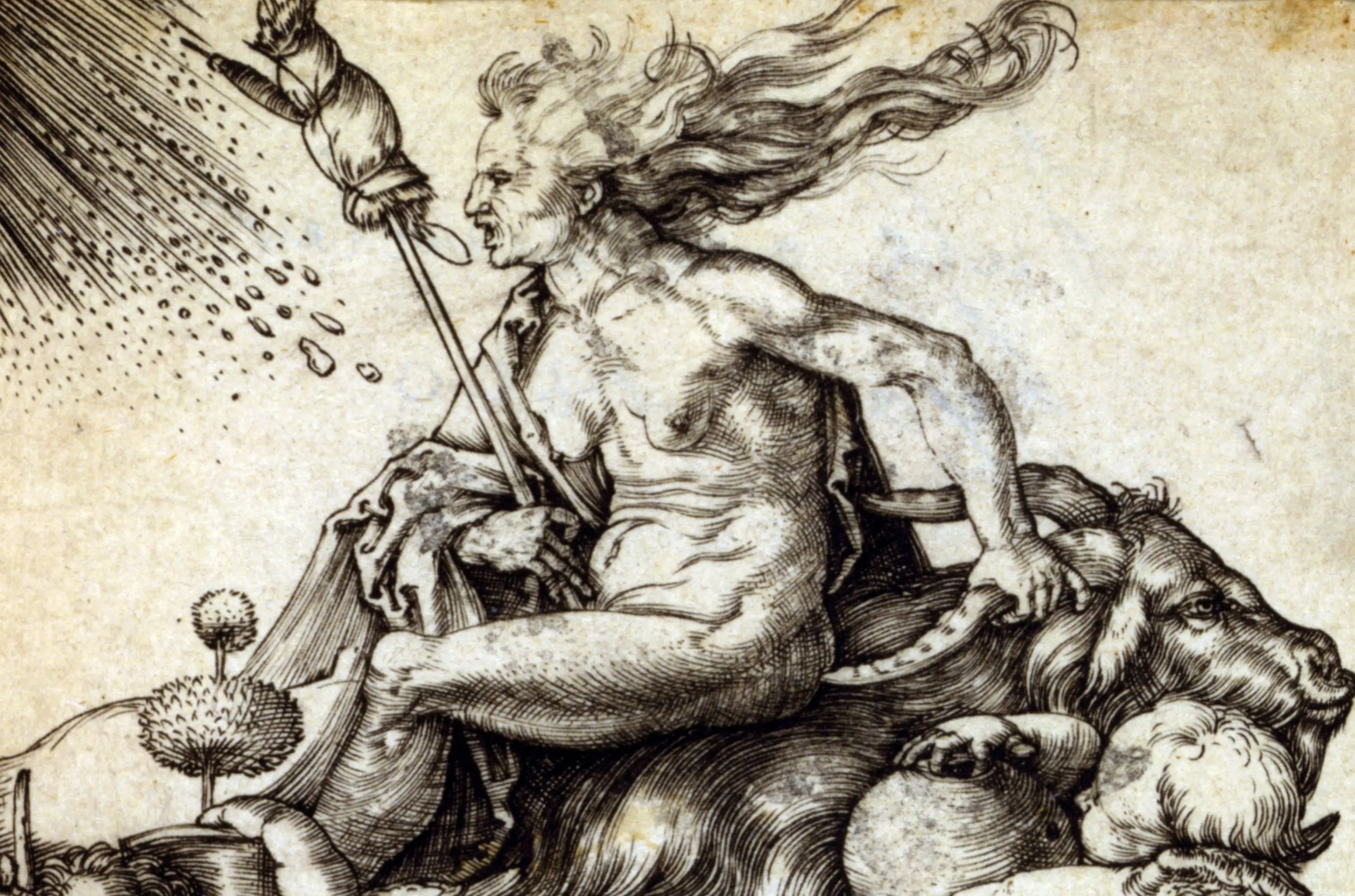 Witch riding backwards on a goat (1501–1502), Albrecht Dürer depicts a barely clothed woman, a witch, sitting astride a leaping goat.