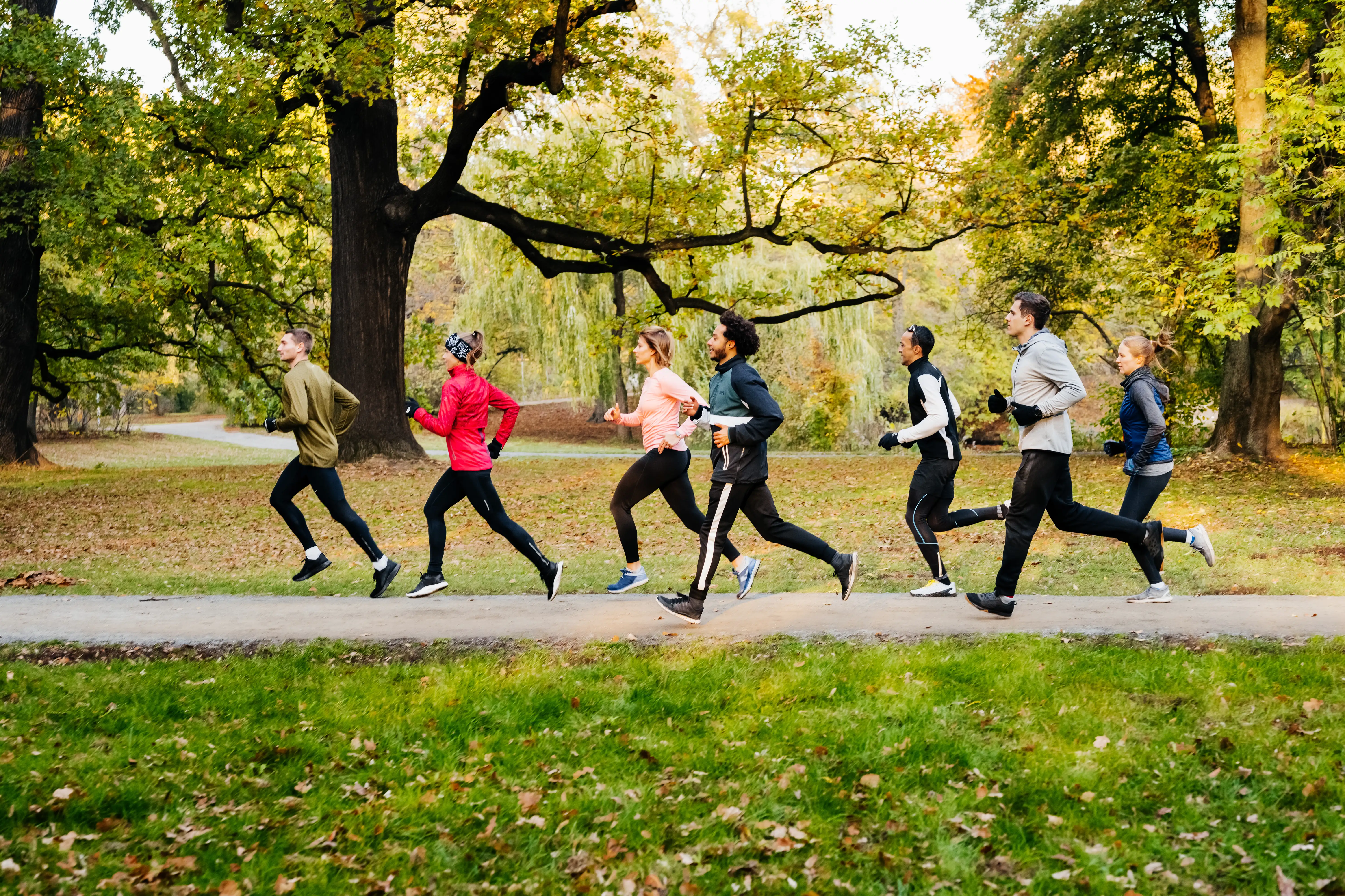 A running group in a park