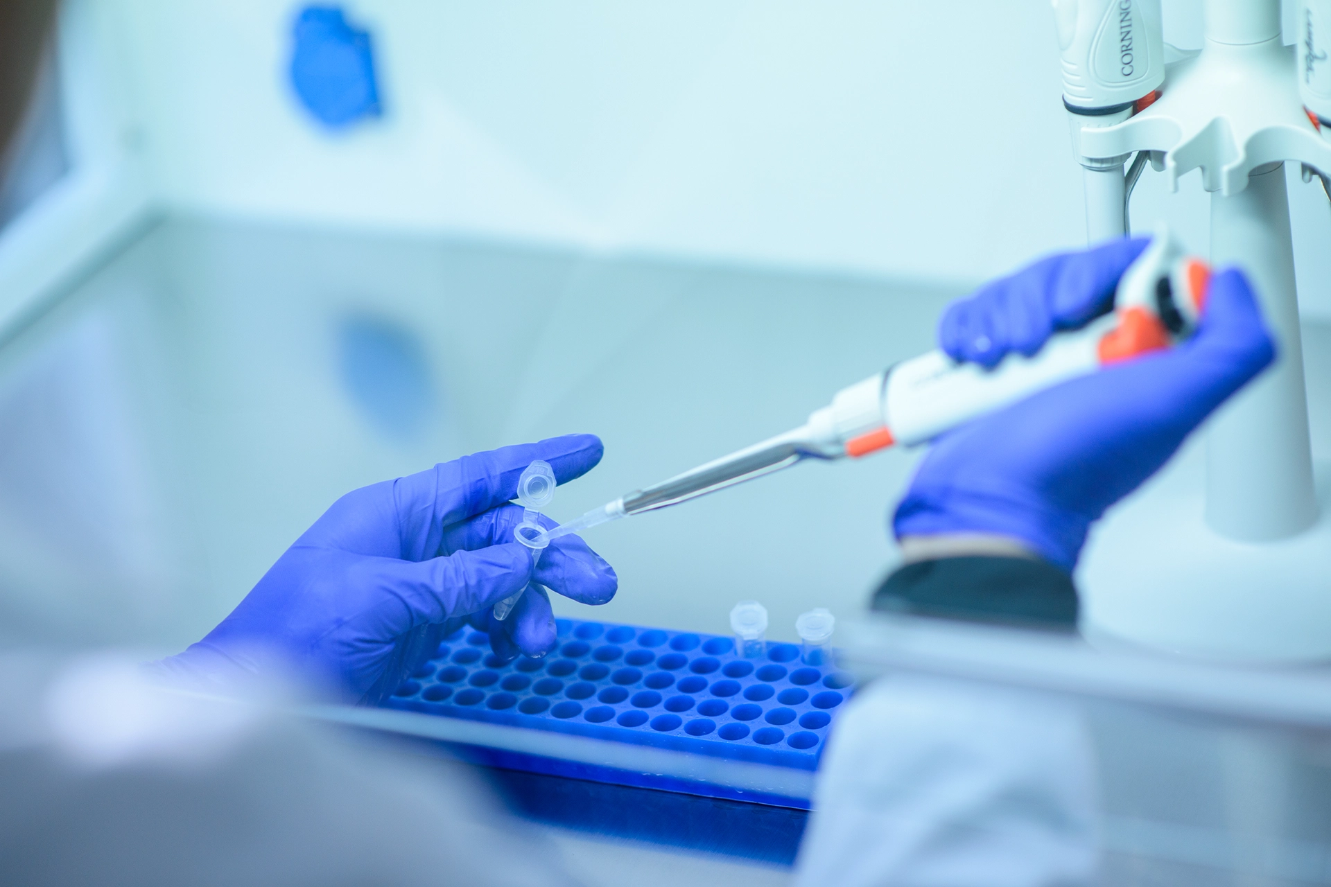 Hands pipetting into a test tube in a labratory