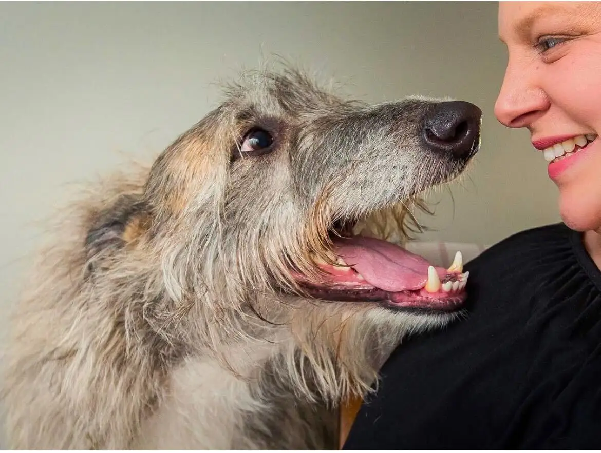 Mia Cobb and her staghound