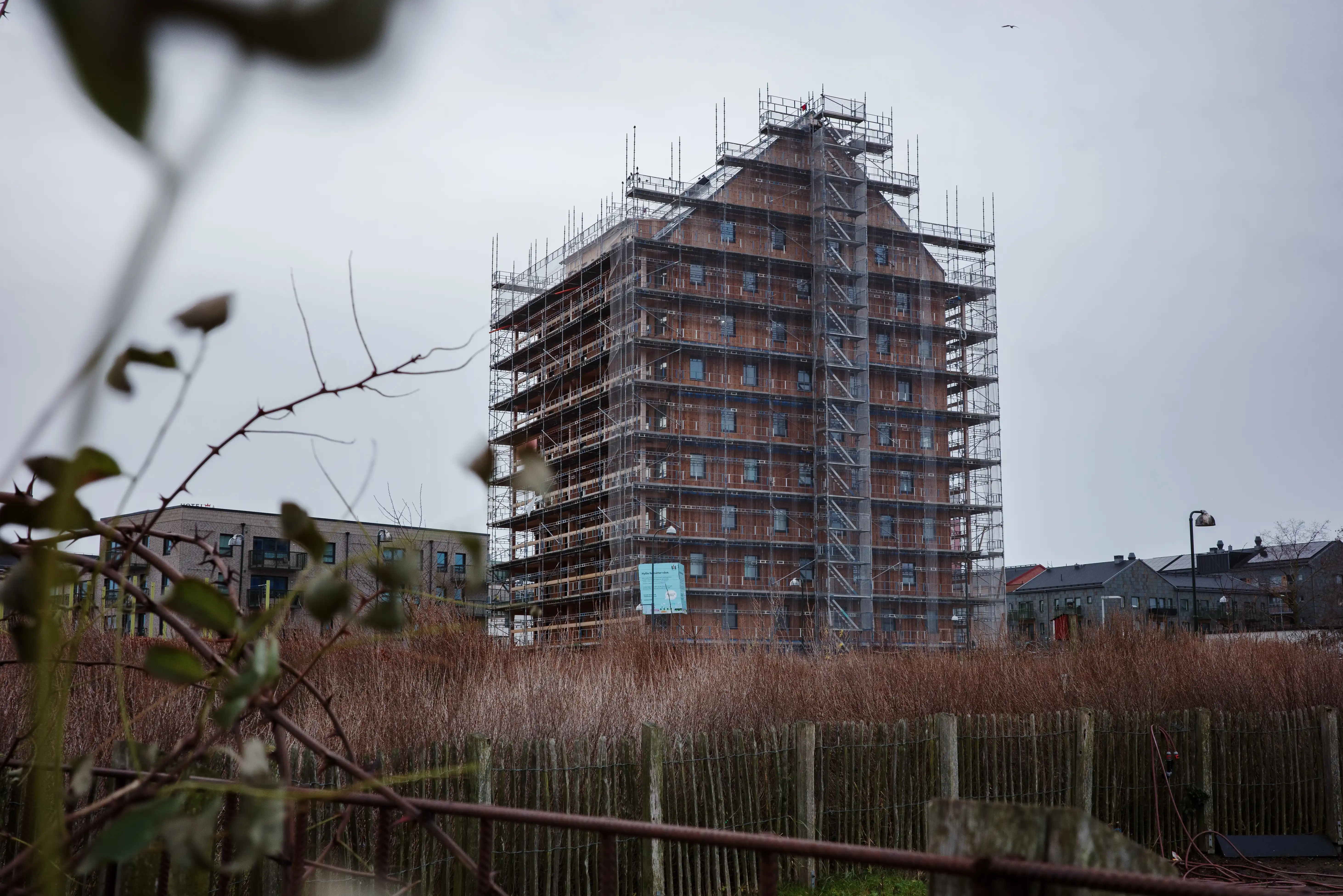 A 12 storey building in Sweden being constructed, with scaffolding all around it, emerges from its surrounds of trees to showcase eco-friendly construction.