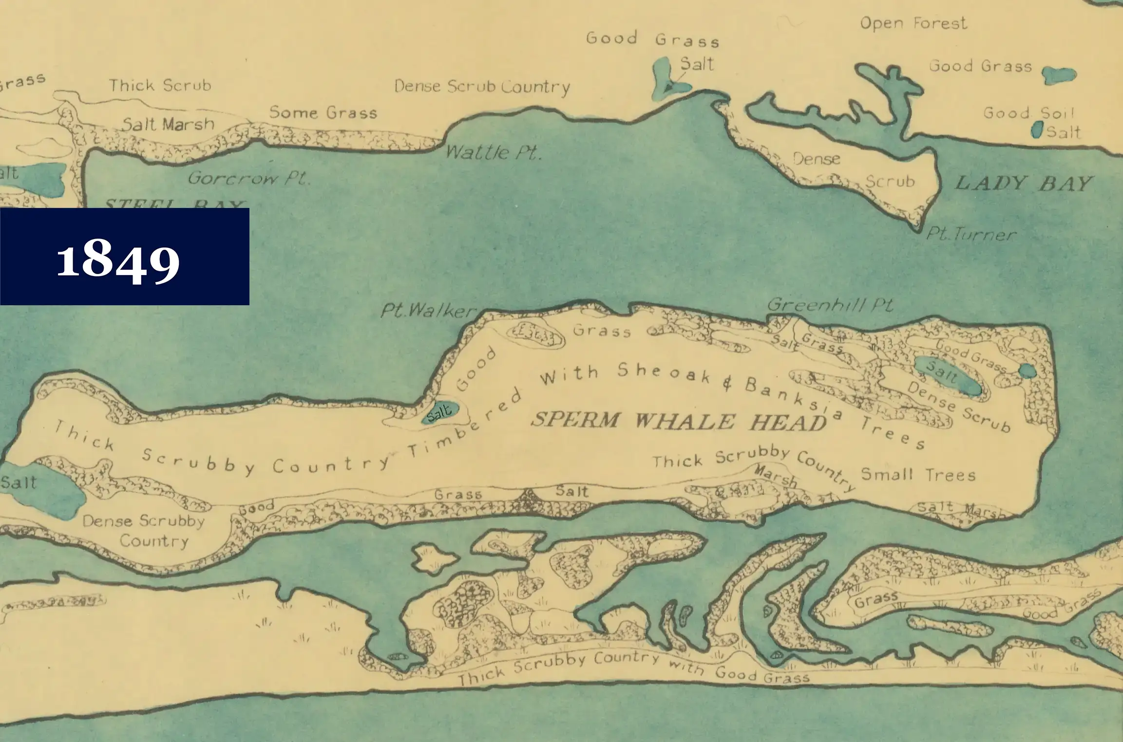 An 1849 map of Ngarrywayt showing she-oaks and banksias