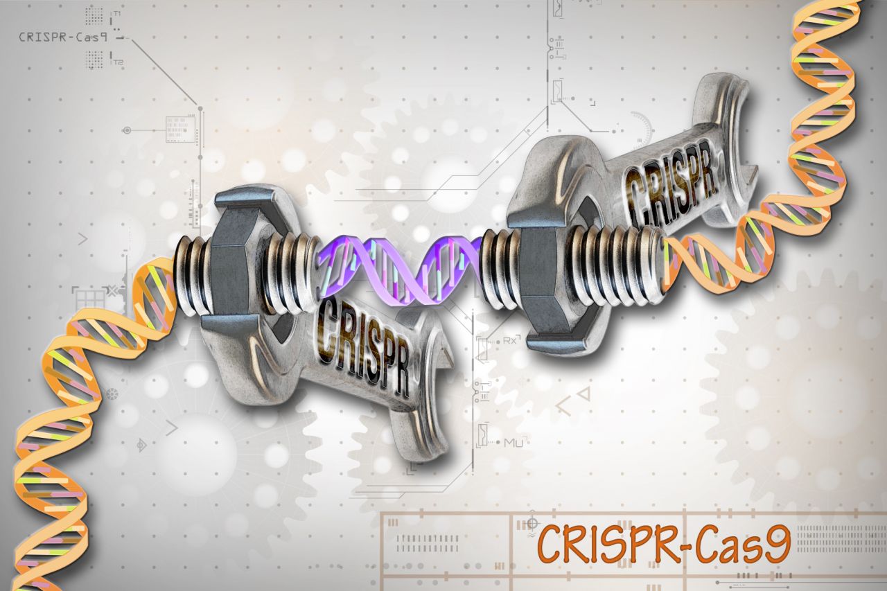 Genetic snip and snap thumbnail image