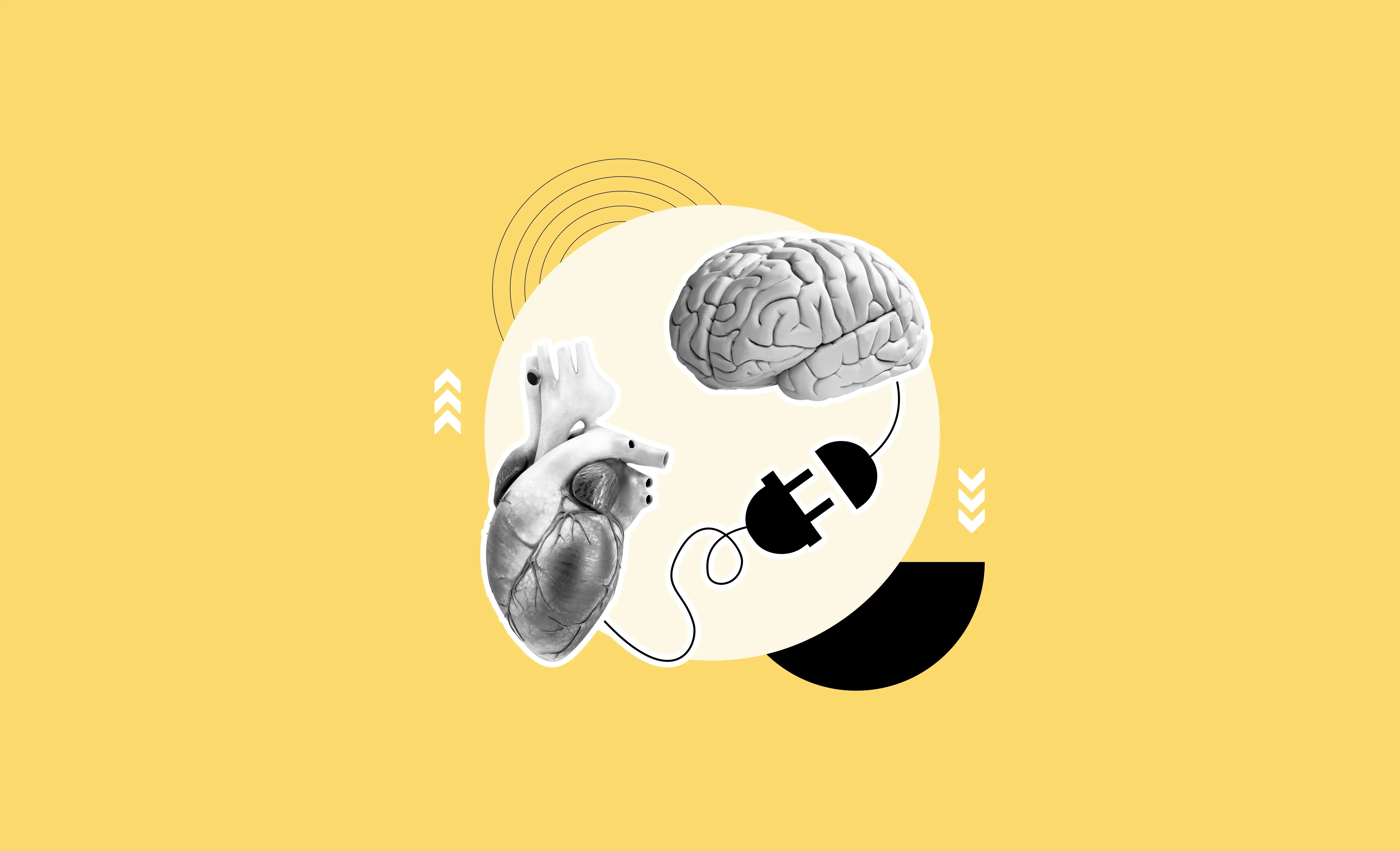 A graphic of a brain connected to a heart on a yellow background