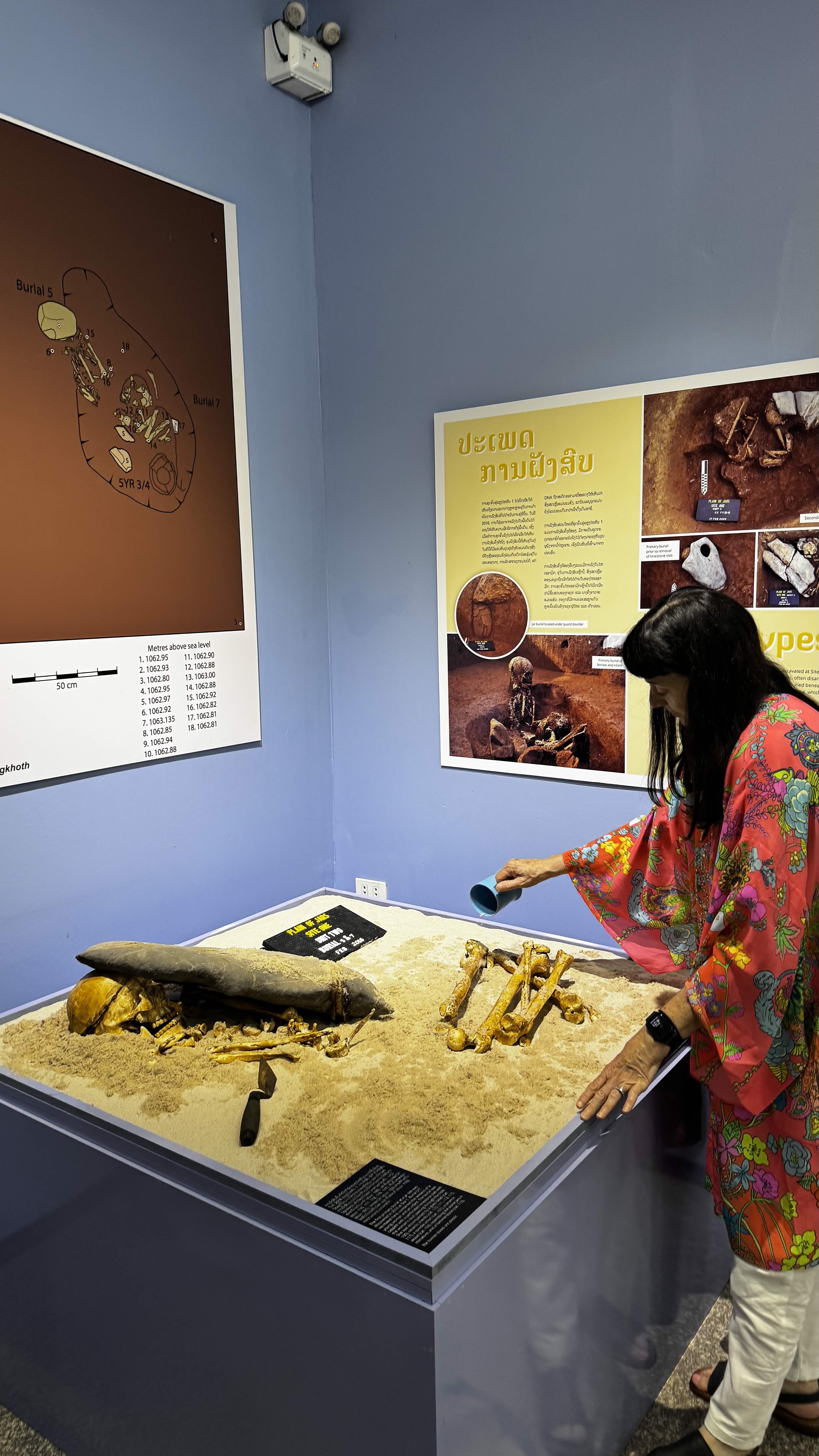 Researcher setting up a Museum exhibition
