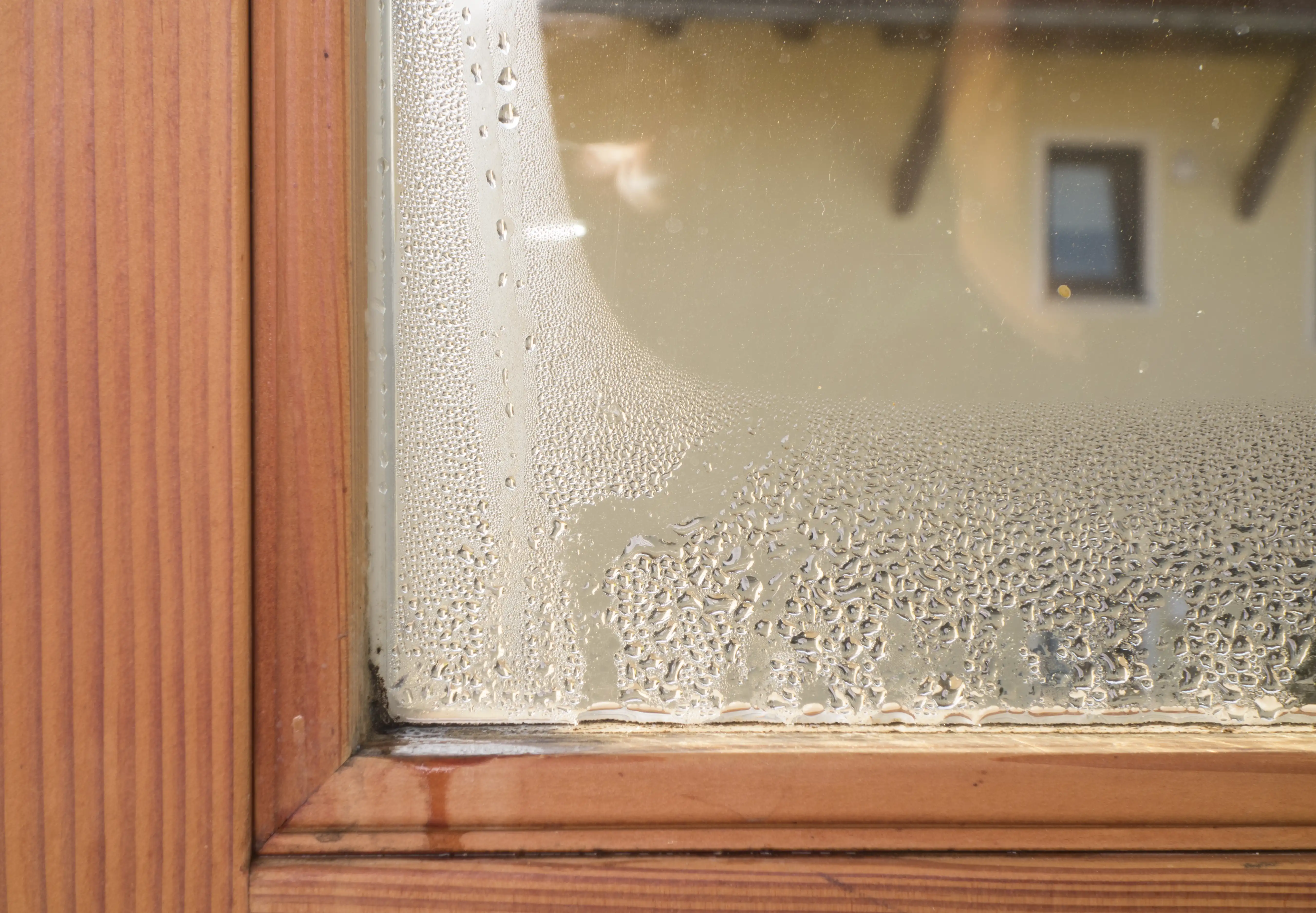 Condensation on the inside of a house window