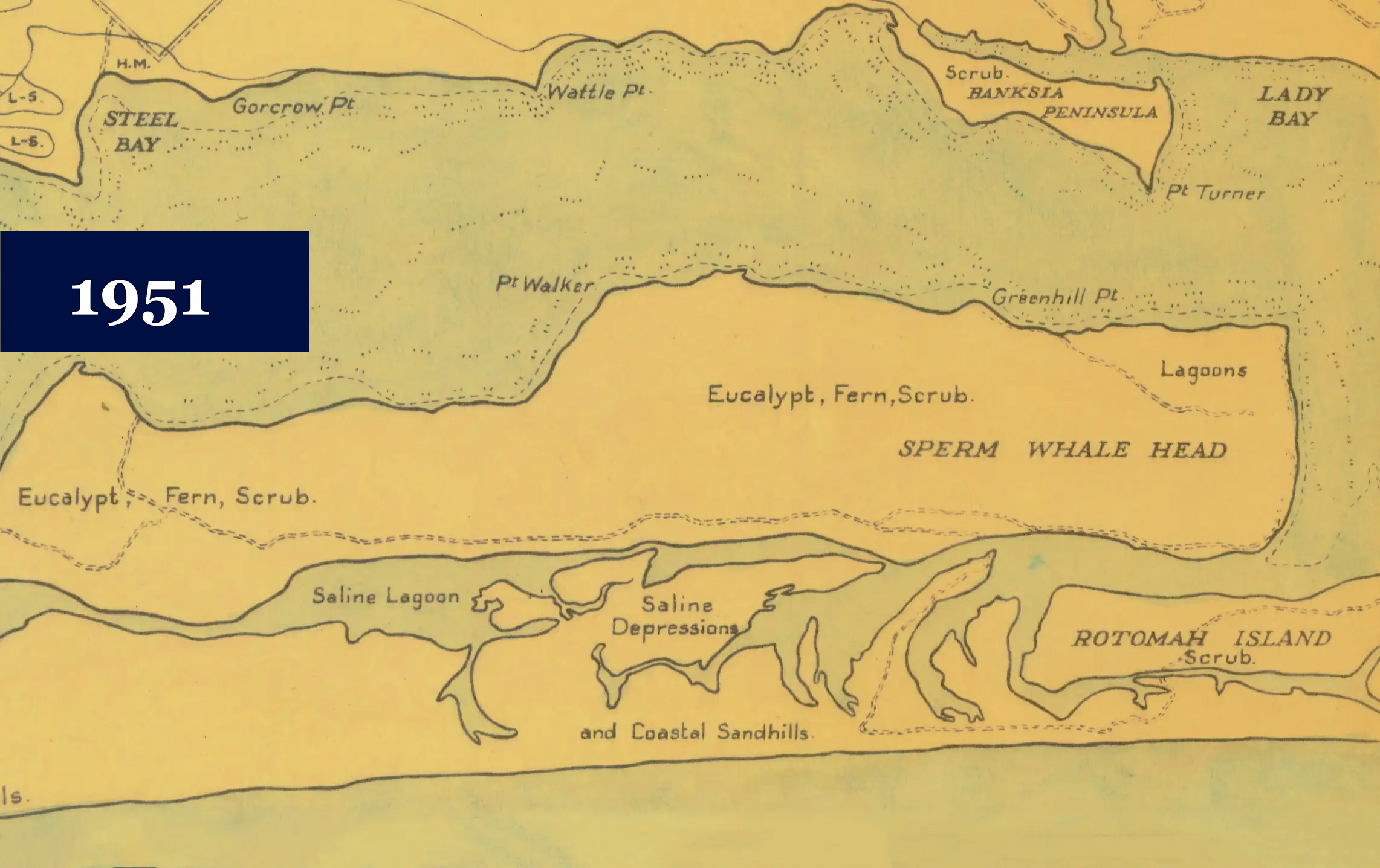 A 1951 map of Ngarrywayt featuring eucalypt, fern and scrub