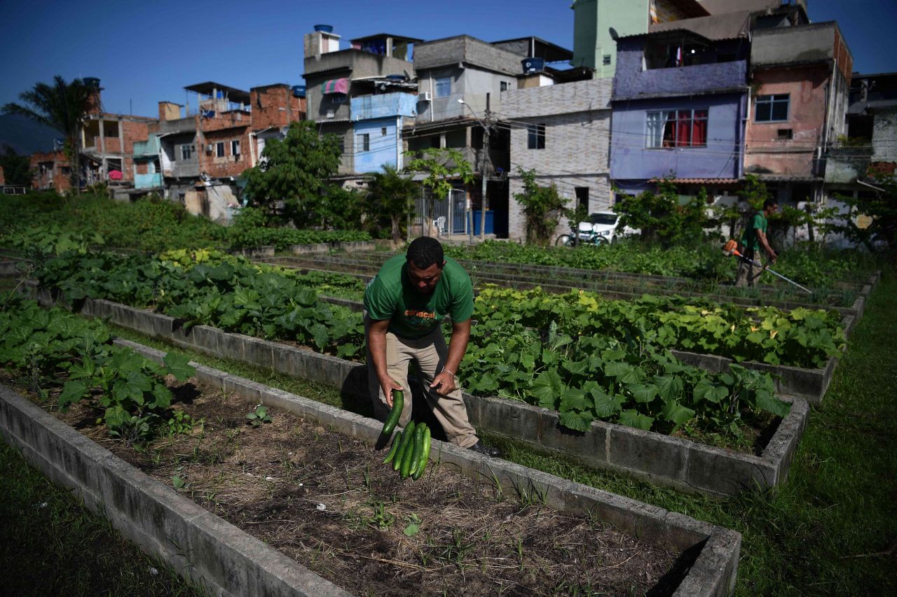 Bringing community together through urban farming thumbnail image