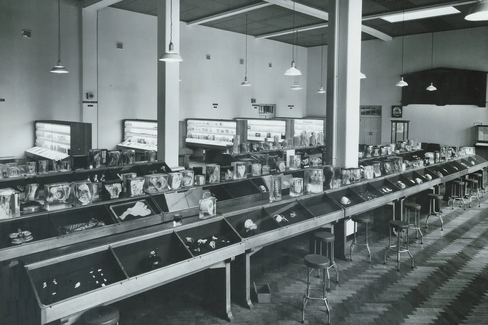 Old photograph of a room full of display cases with various anatomical specimens