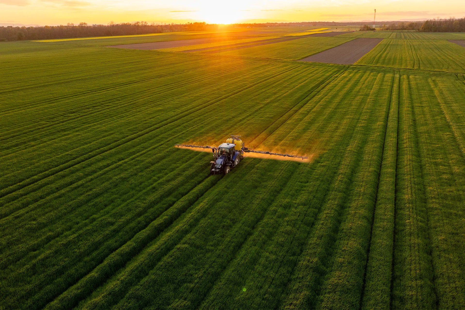 A tractor spraying crops at sunset in a large field