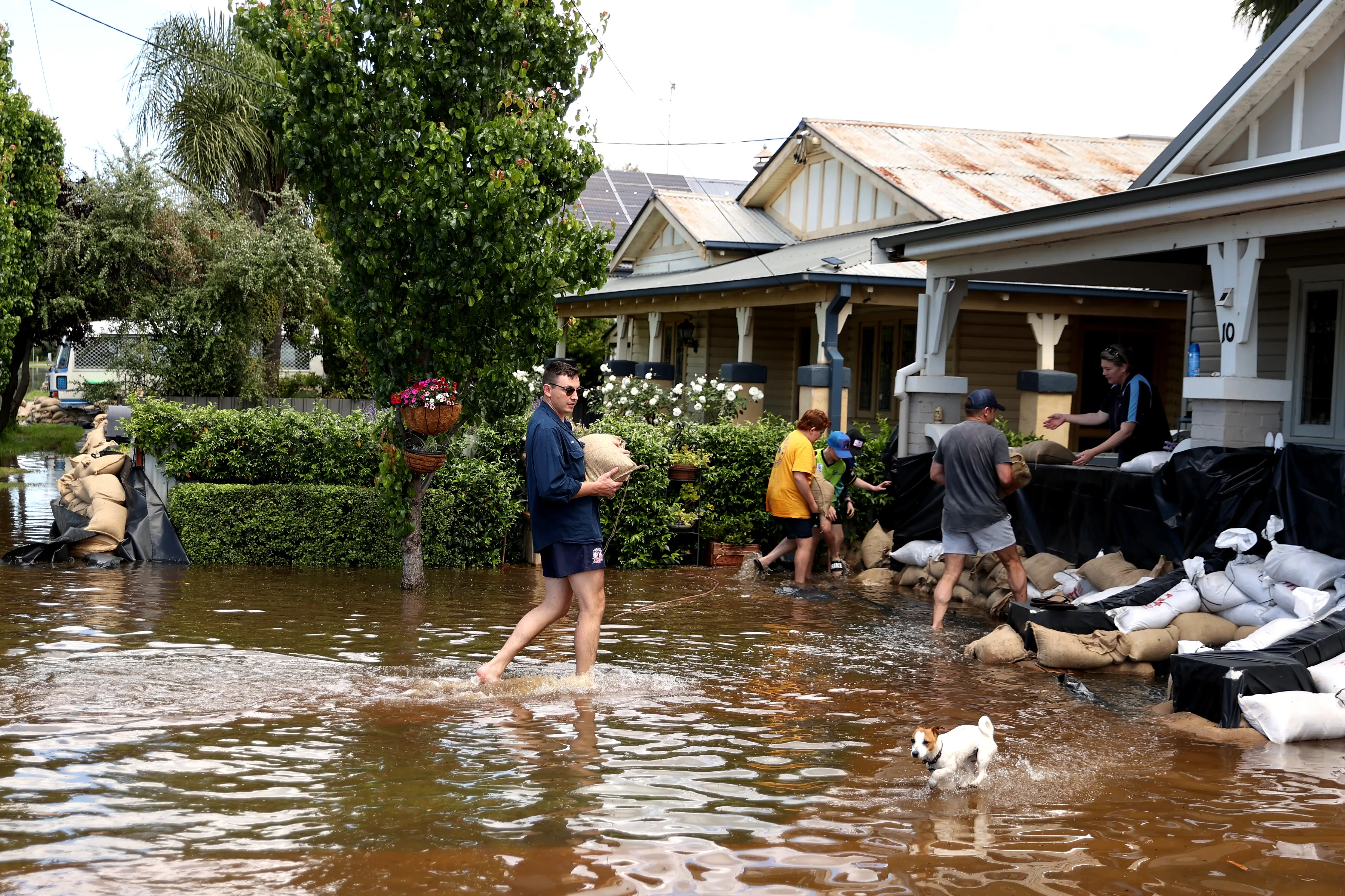 People carry sandbags through flood waters to protect houses in Forbes, Australia in 2024