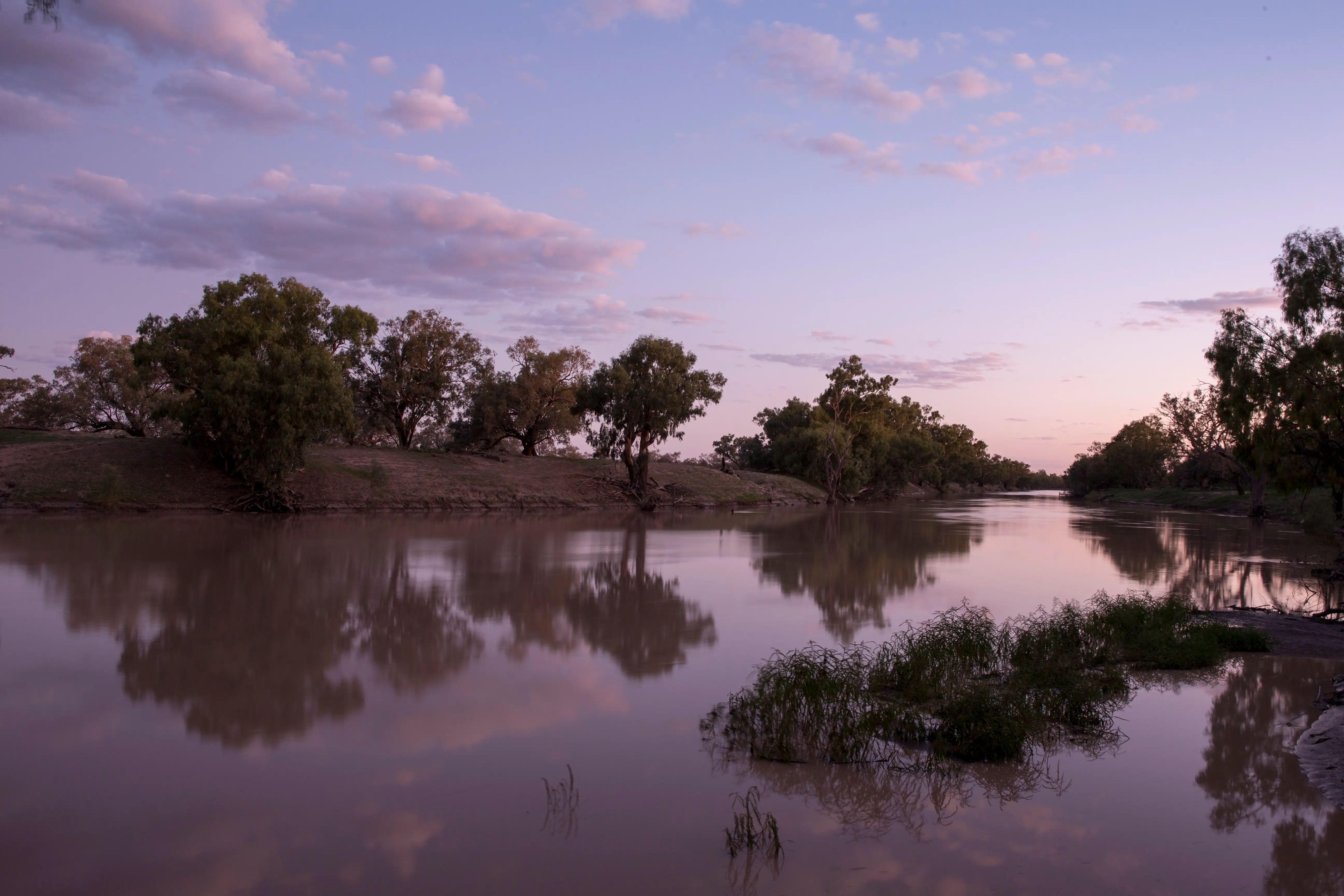 A pink and powder blue sky reflected in the Darling River, with Australian native trees along the riverbank
