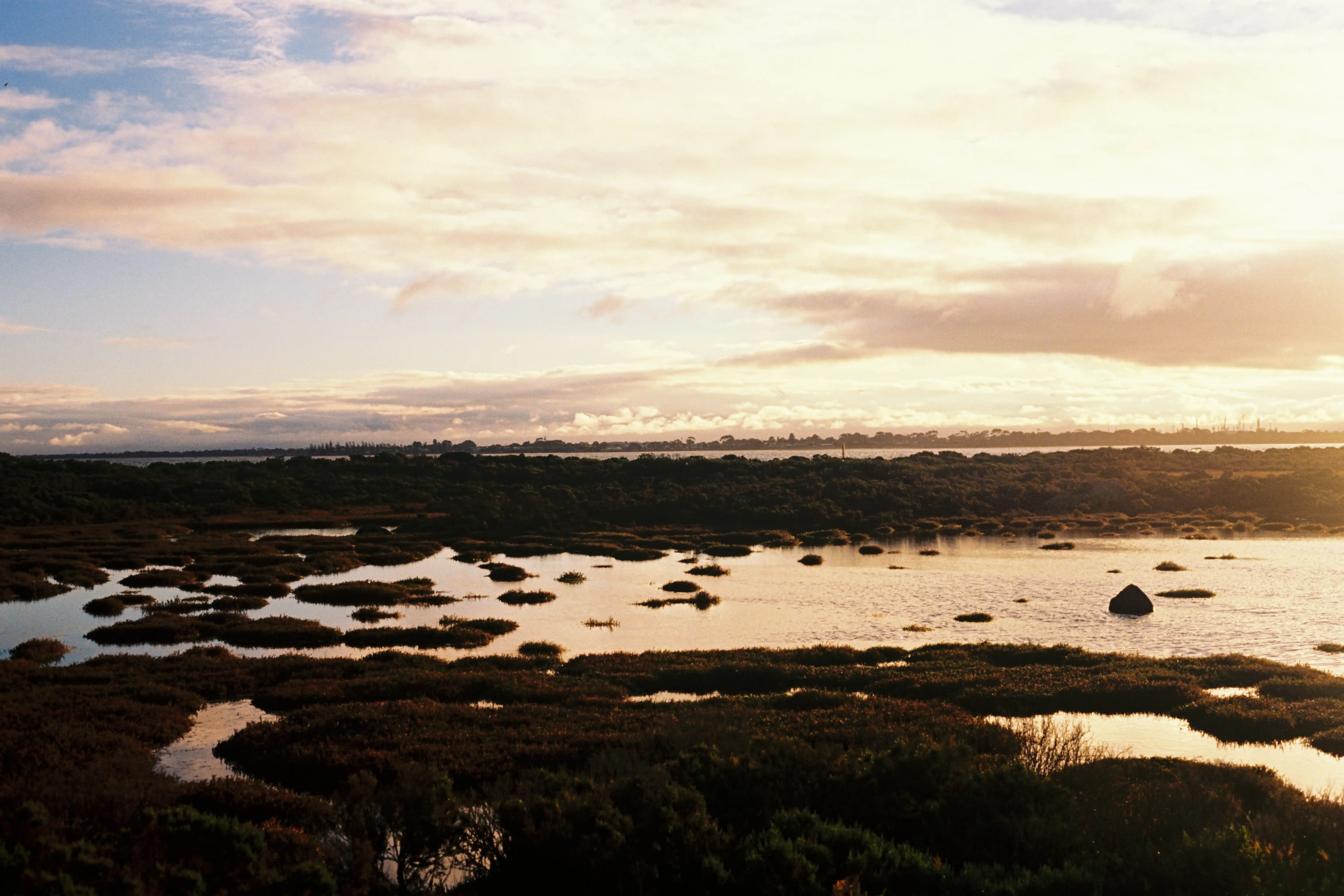 Coastal wetlands in Victoria's western suburbs at sunset