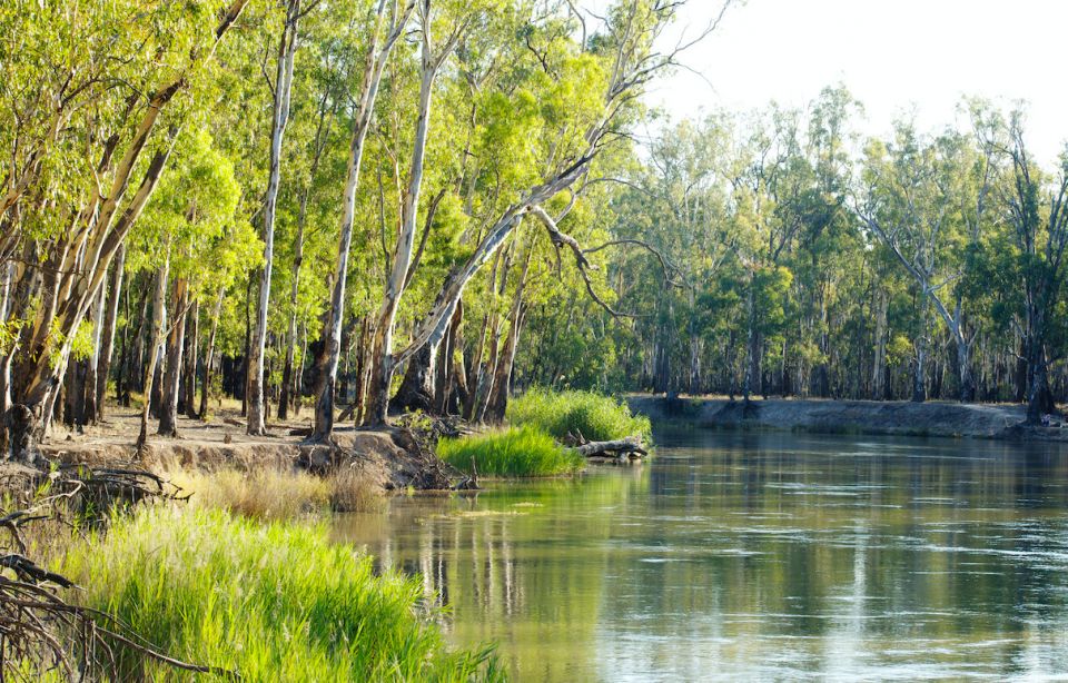 Sustaining song and spirit | Pursuit by the University of Melbourne