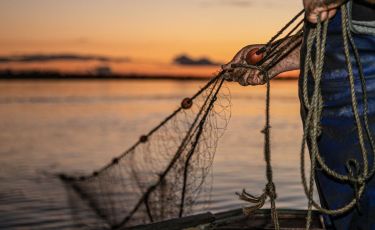 The life stories of Gippsland lakes fishers thumbnail image