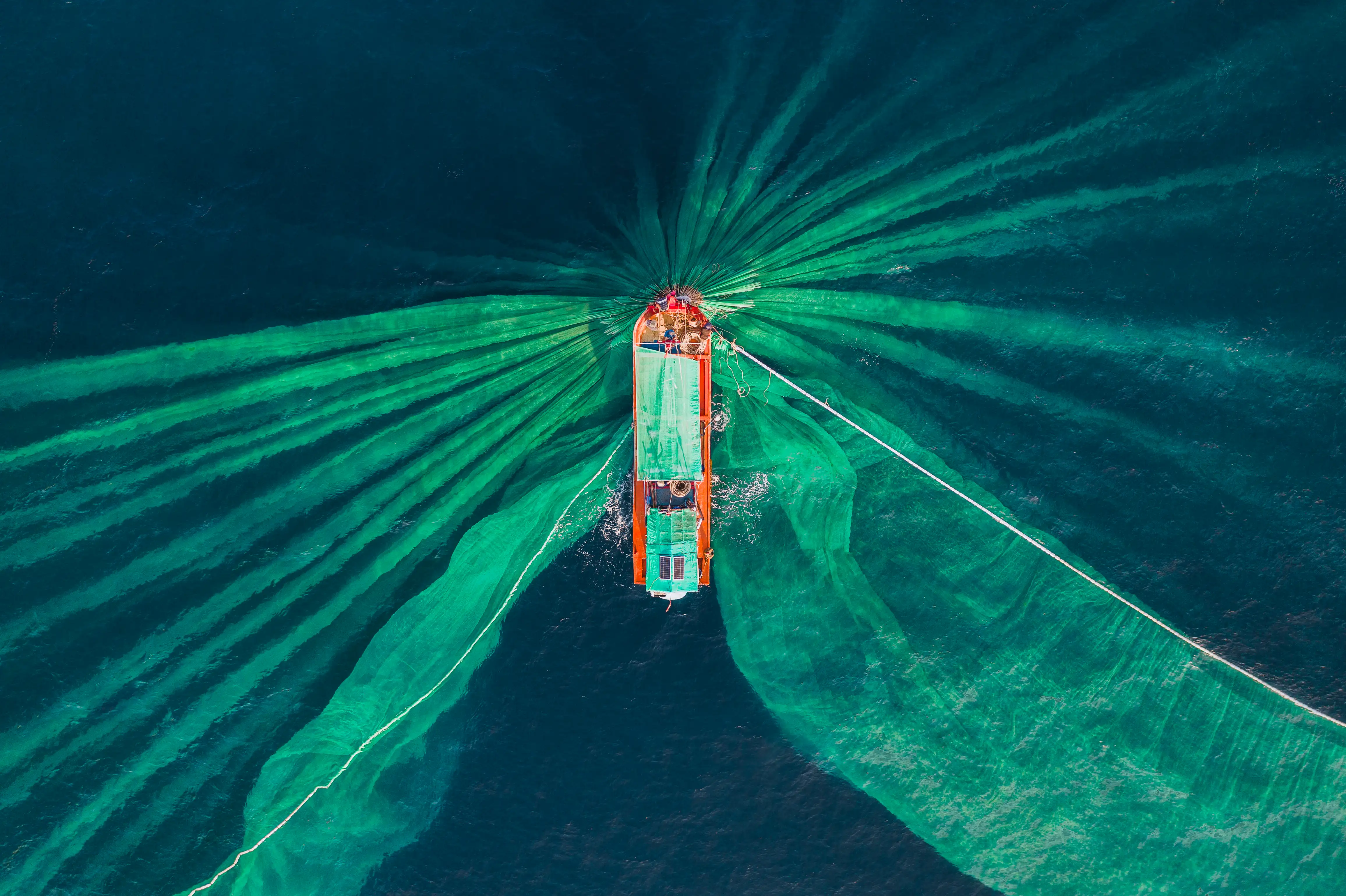 Drone photograph looking down on a fishing trawler catching anchovies.