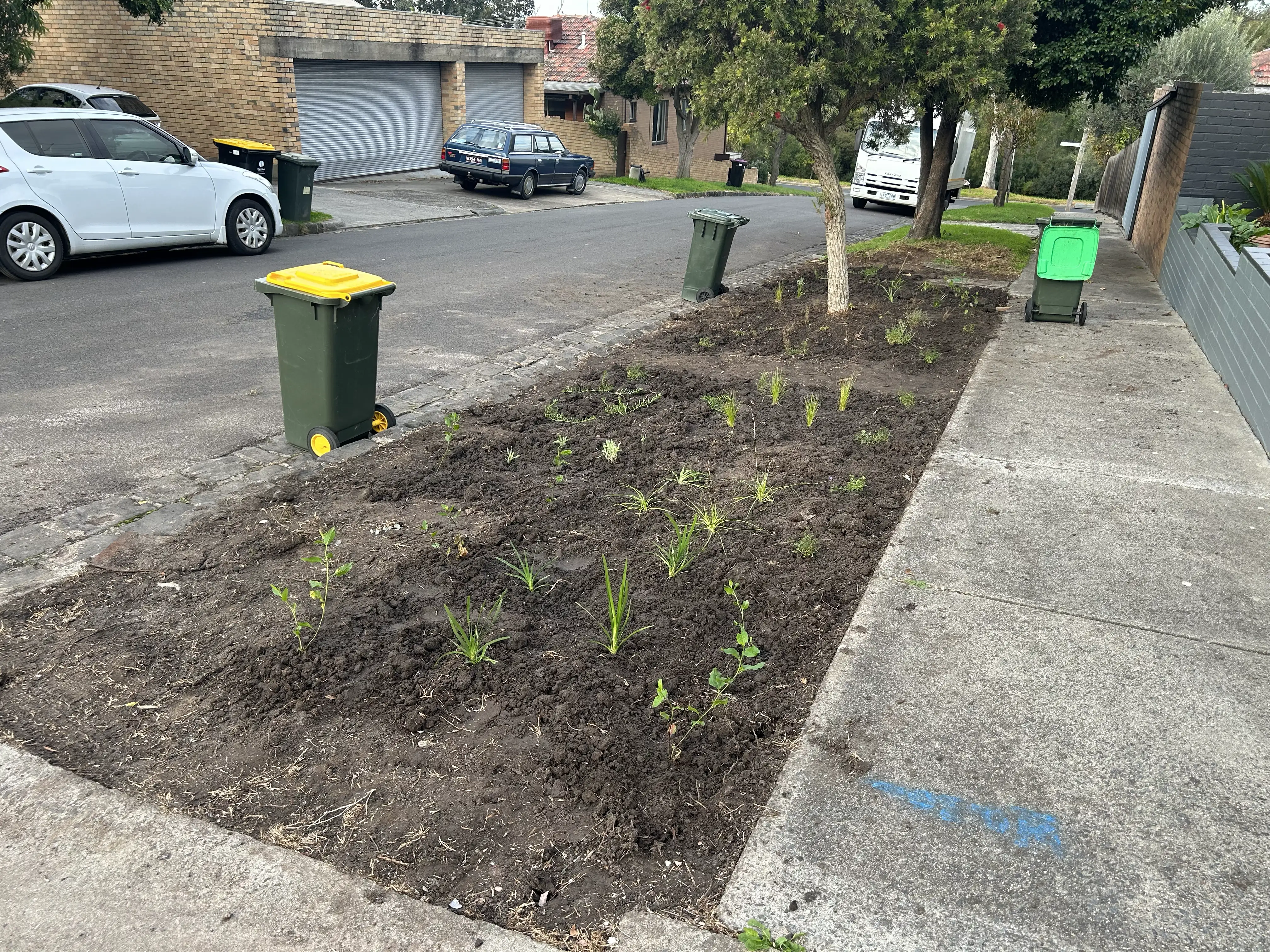 A new nature-strip garden being planted in fresh soil