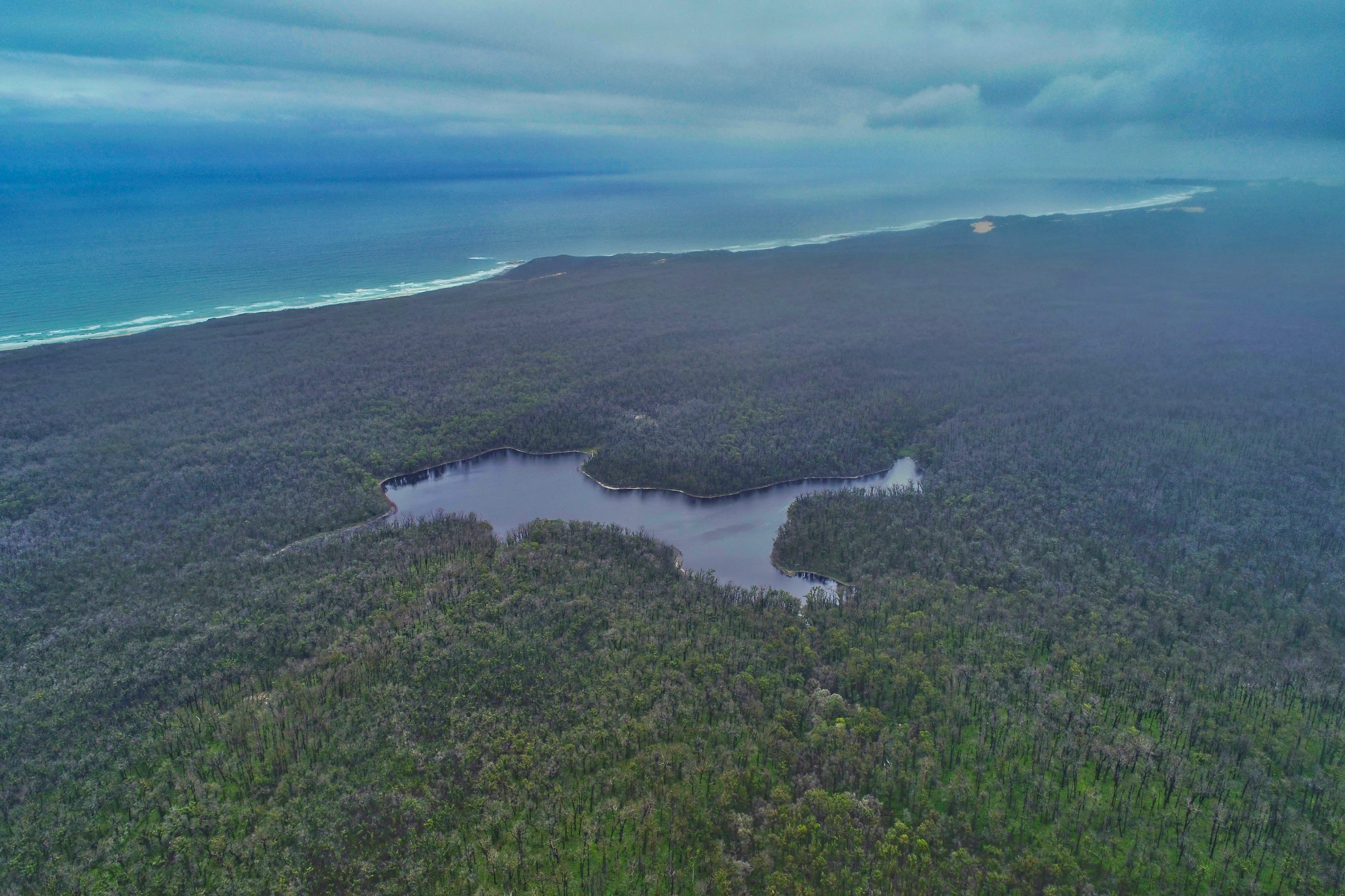 An aerial shot of Purghagoolah (Lake Elusive) in dense bush