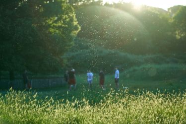 Severity of Melbourne’s grass pollen season hanging on rain thumbnail image