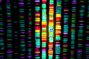 The genomic clues to disease thumbnail image