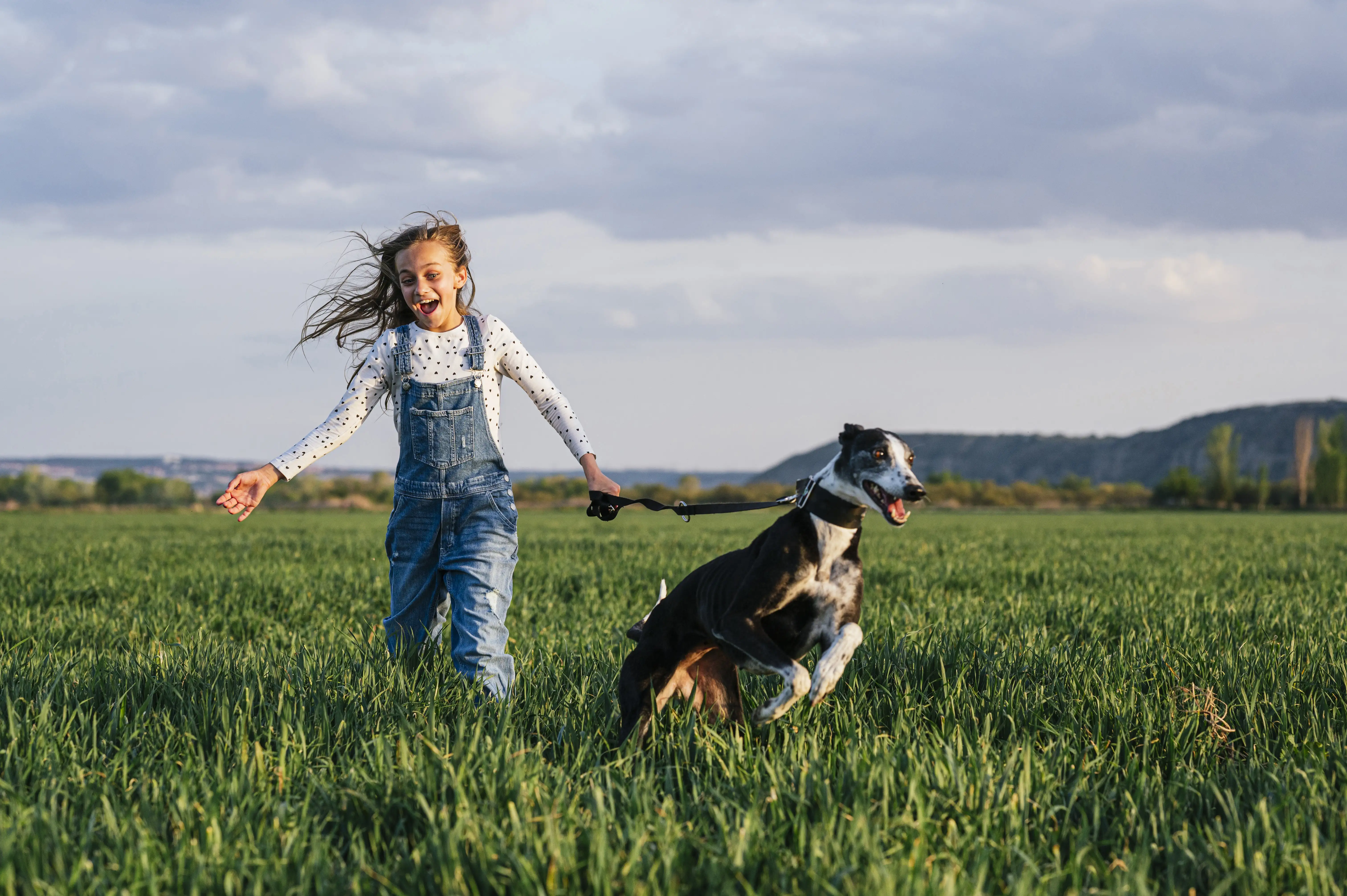 An excited young girl with her greyhound running over field