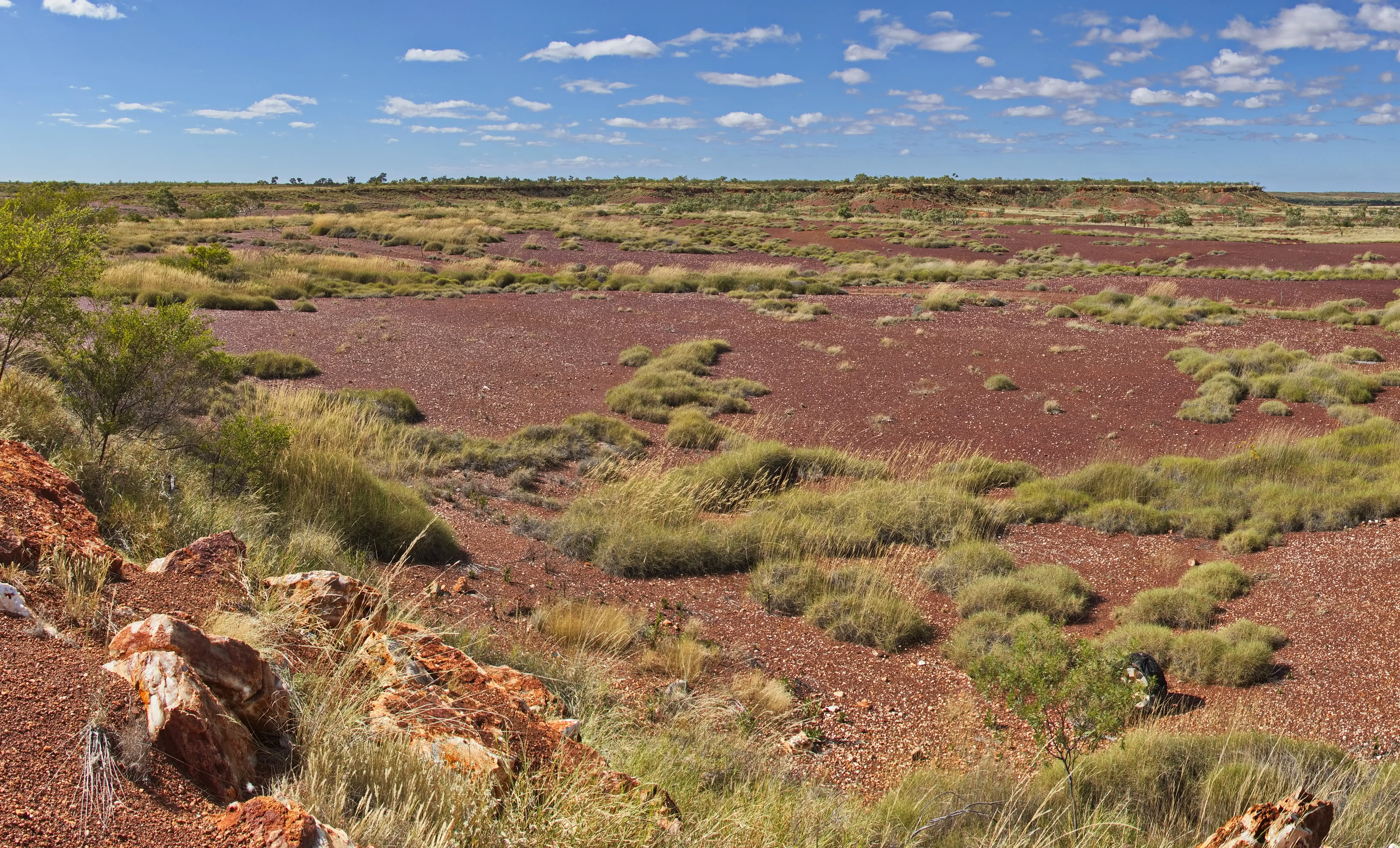 Dry grass grows in a flat red landscape